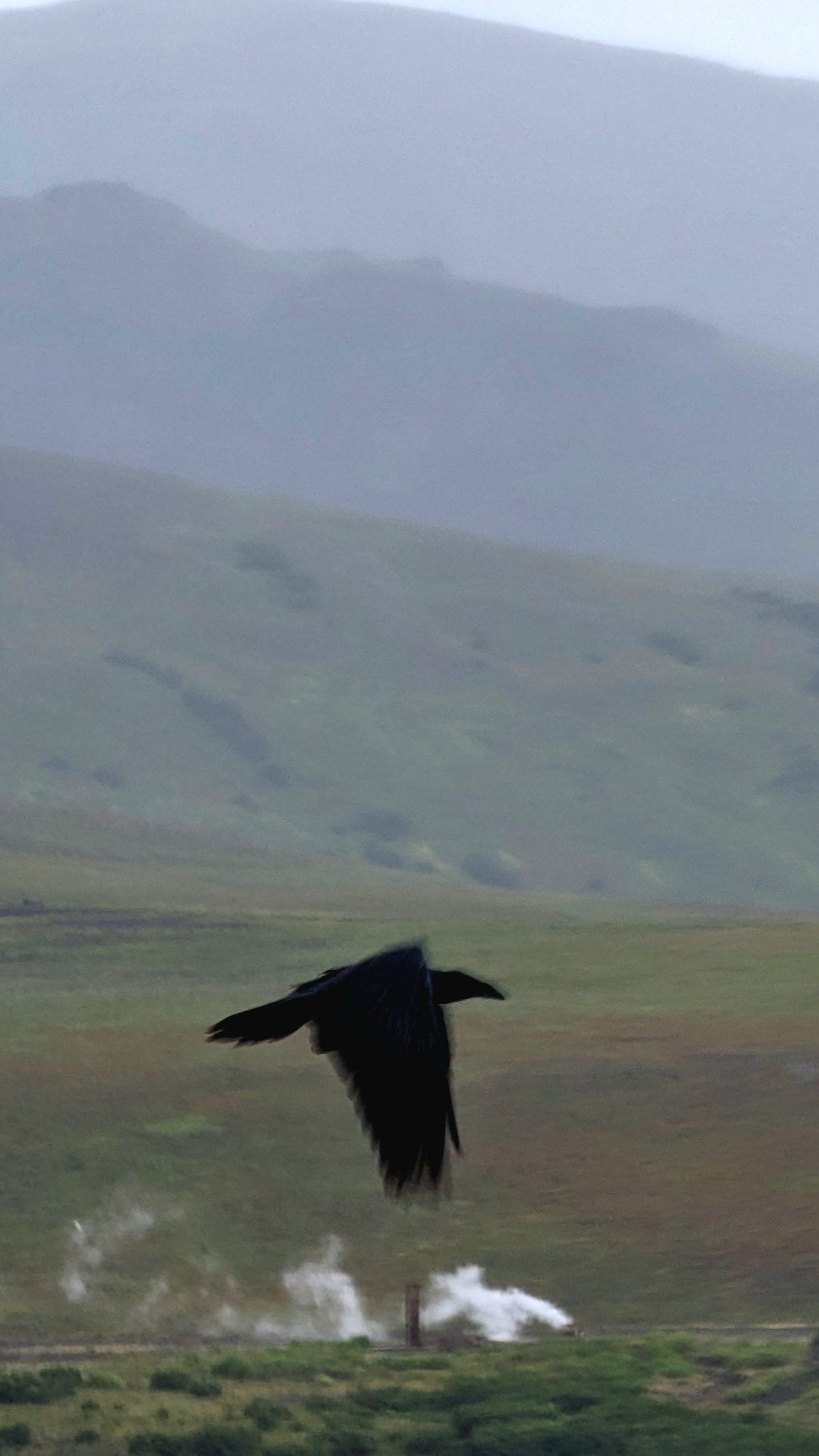 Камчатка: Тихоокеанское Огненное кольцо. (42/42)