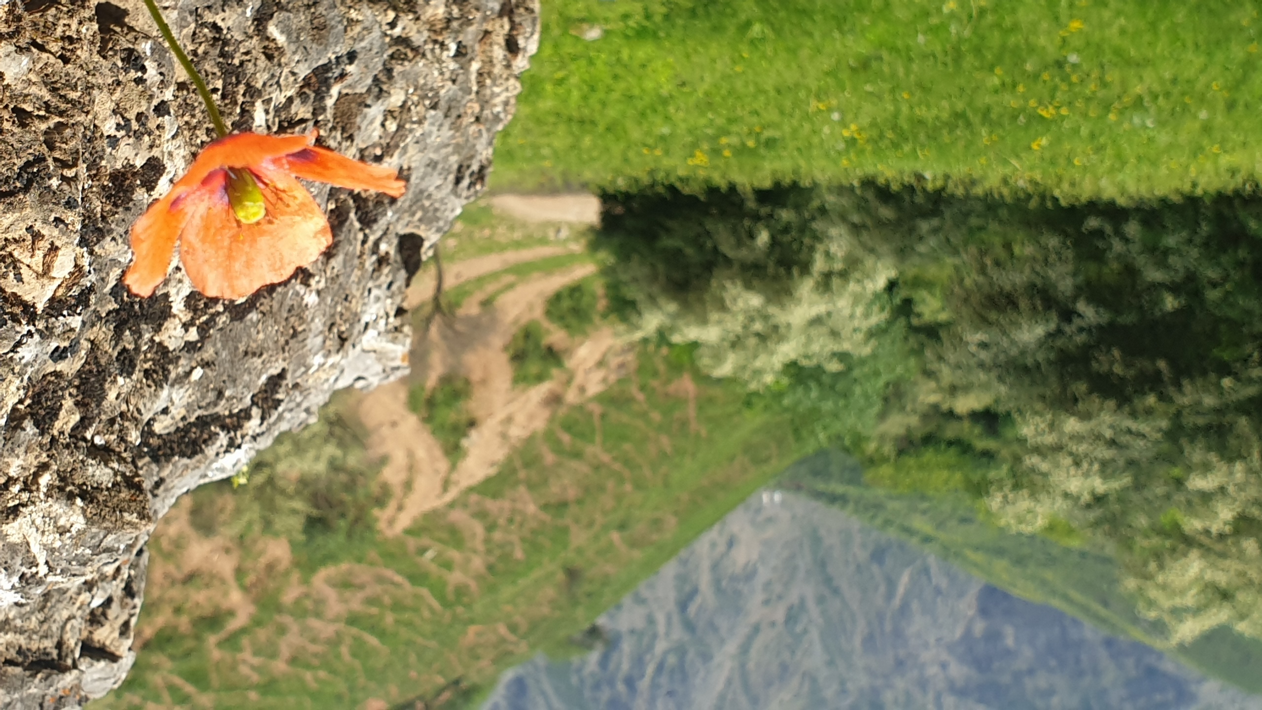 Поход к водопадам Фата невесты и Пальтау (4/11)