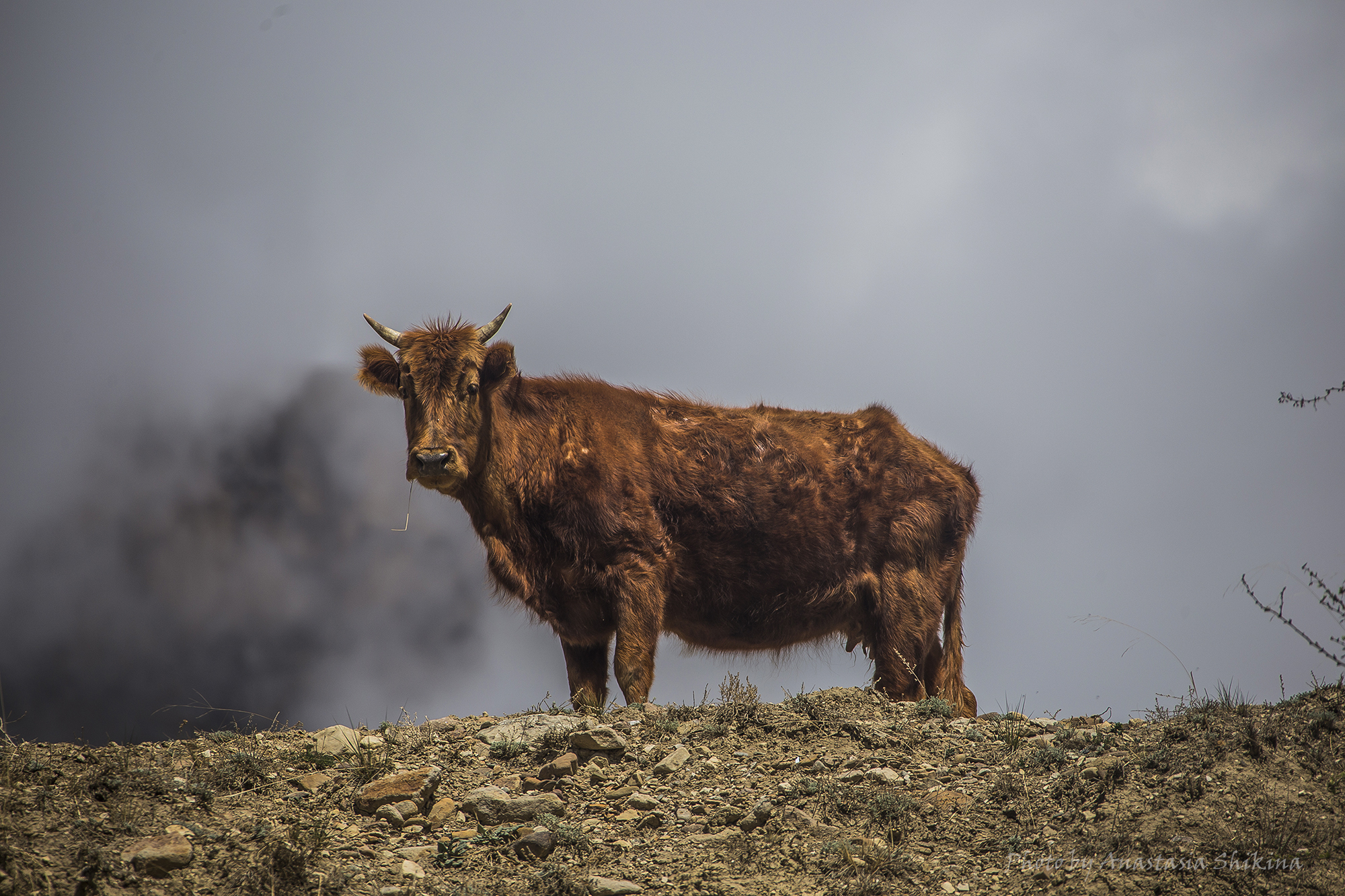 Кавказ покоряет сердца - 11 дней/ 10 ночей (14/16)