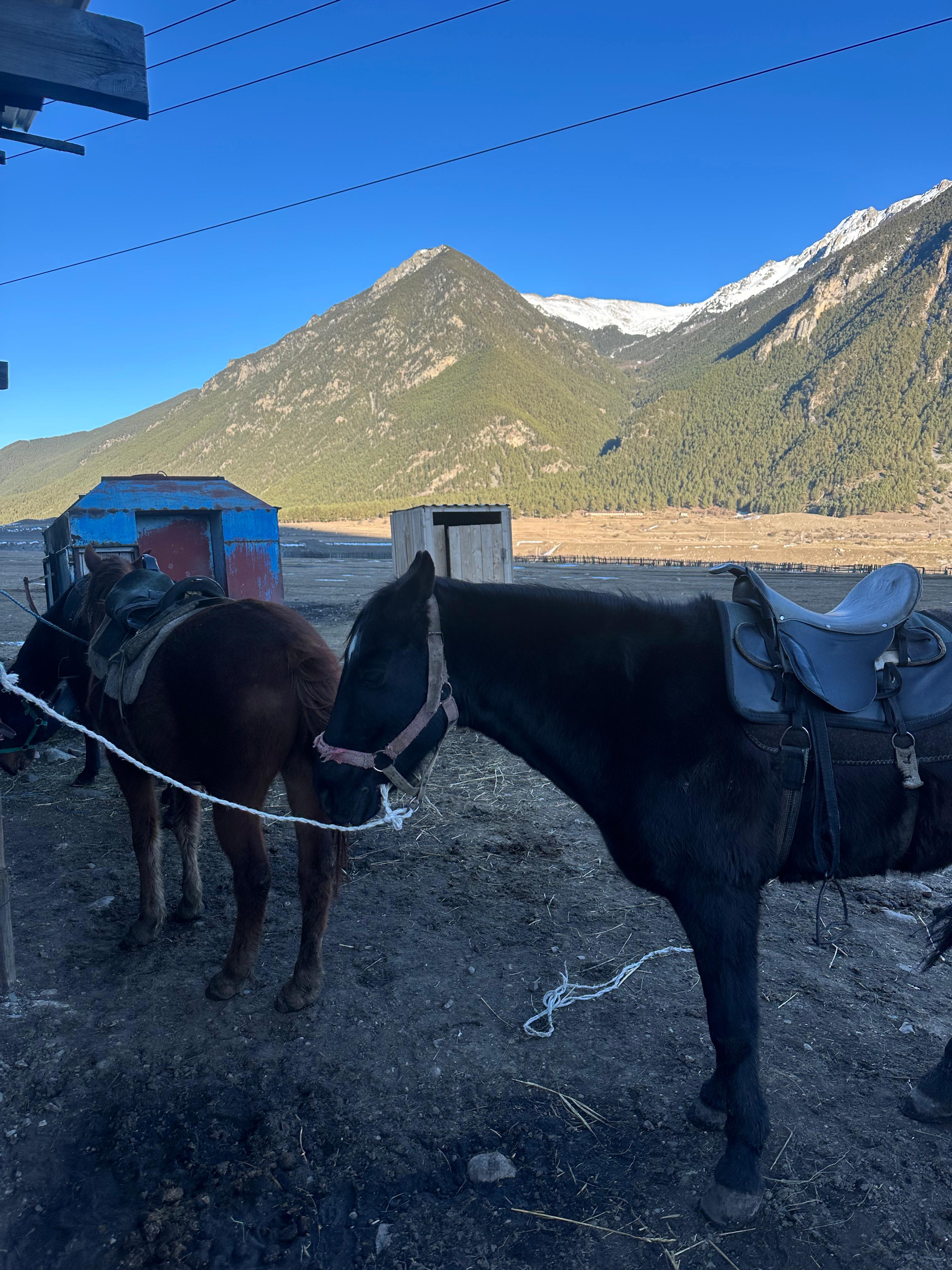 Молодежный тур в Домбай 3дня/2ночи (8/60)