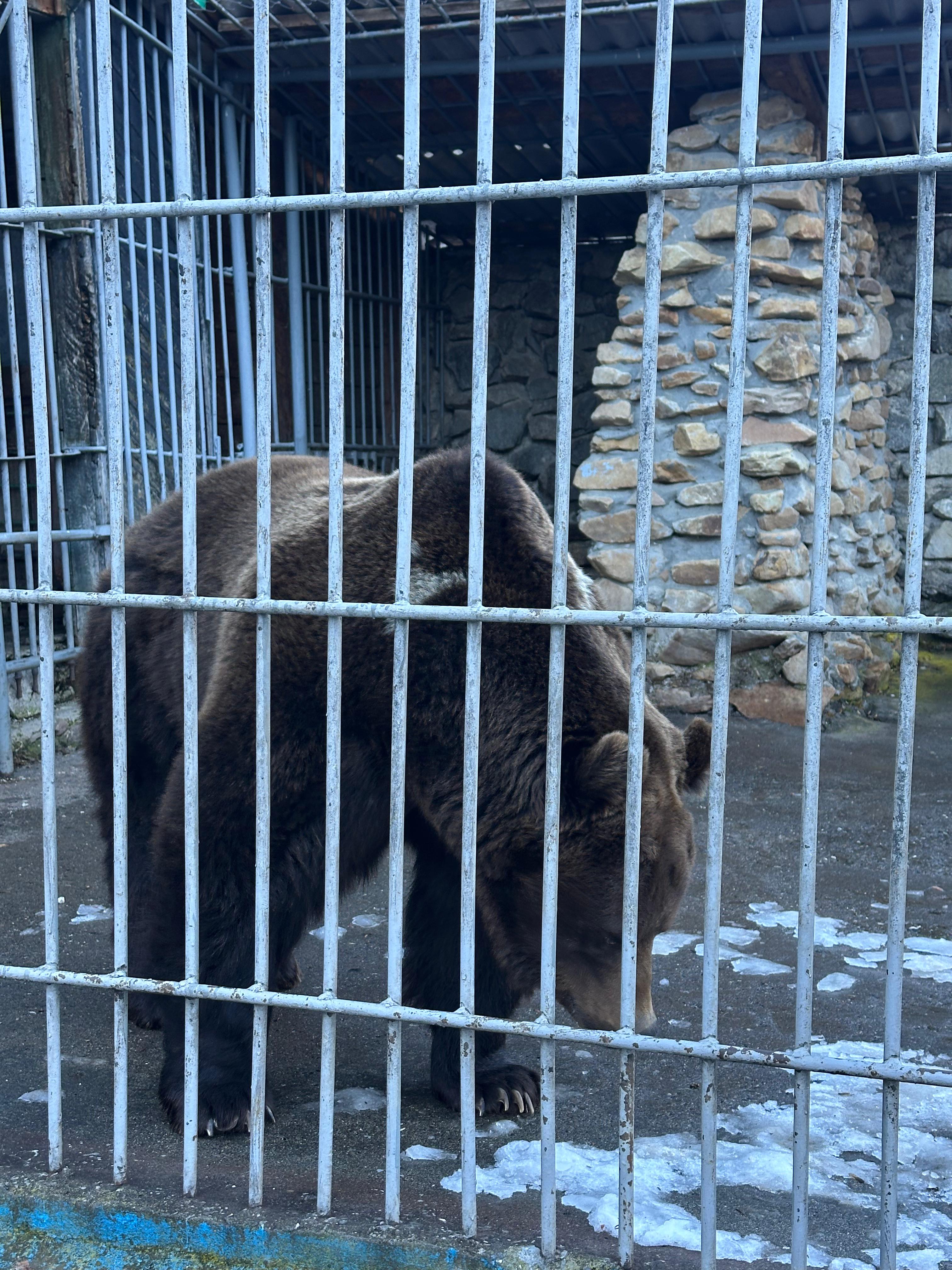 Молодежный тур в Домбай 3дня/2ночи (14/60)