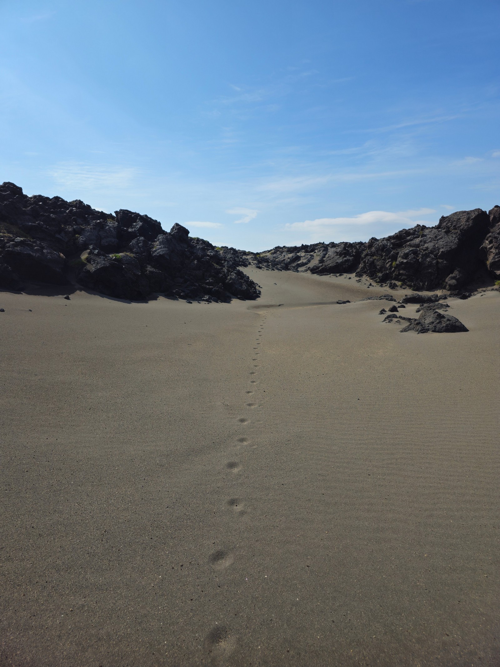 Камчатка: Тихоокеанское Огненное кольцо. (8/42)