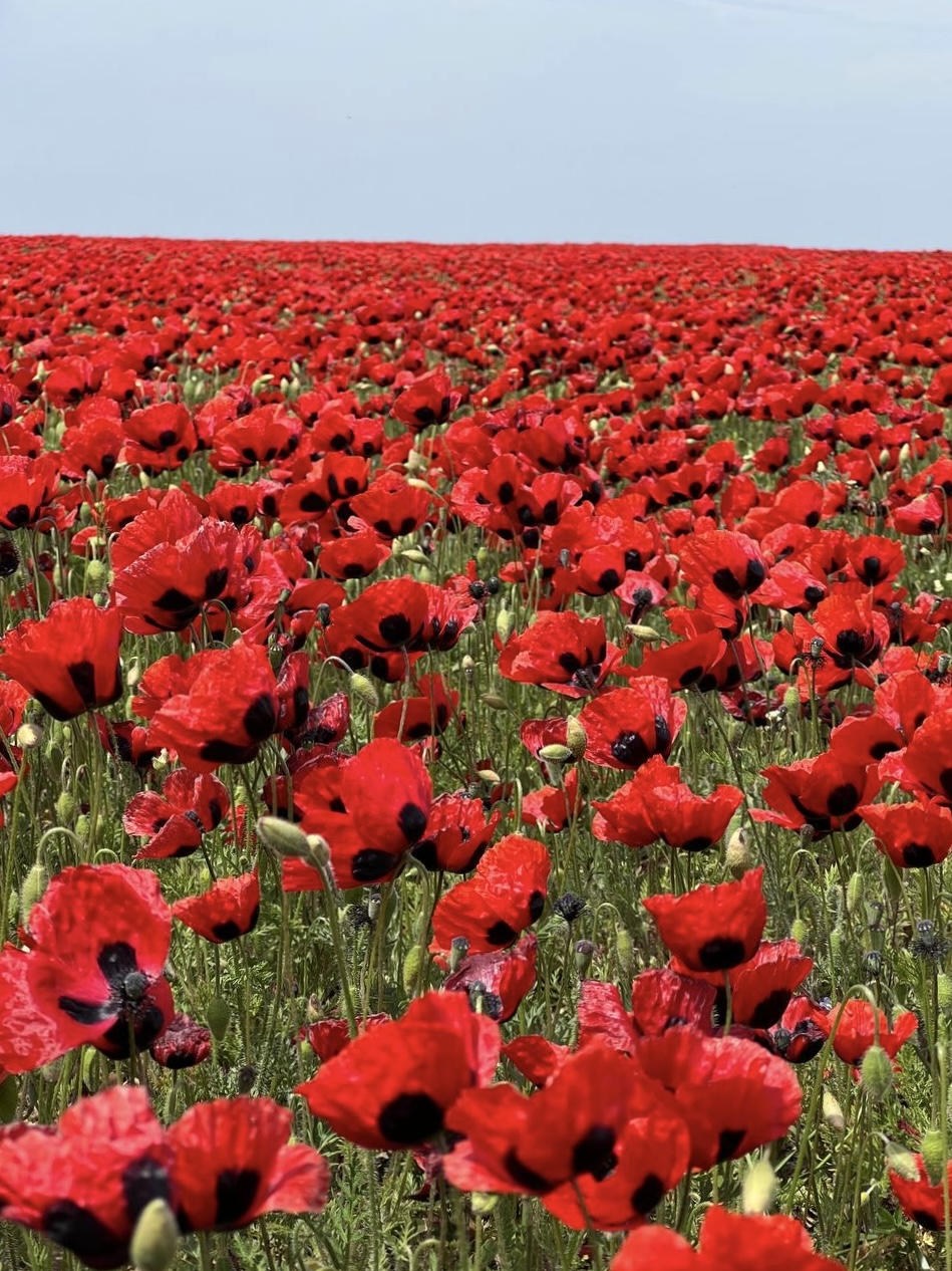 Душа Дагестана. Весь Дагестан за 5 дней (джип-тур) (12/20)