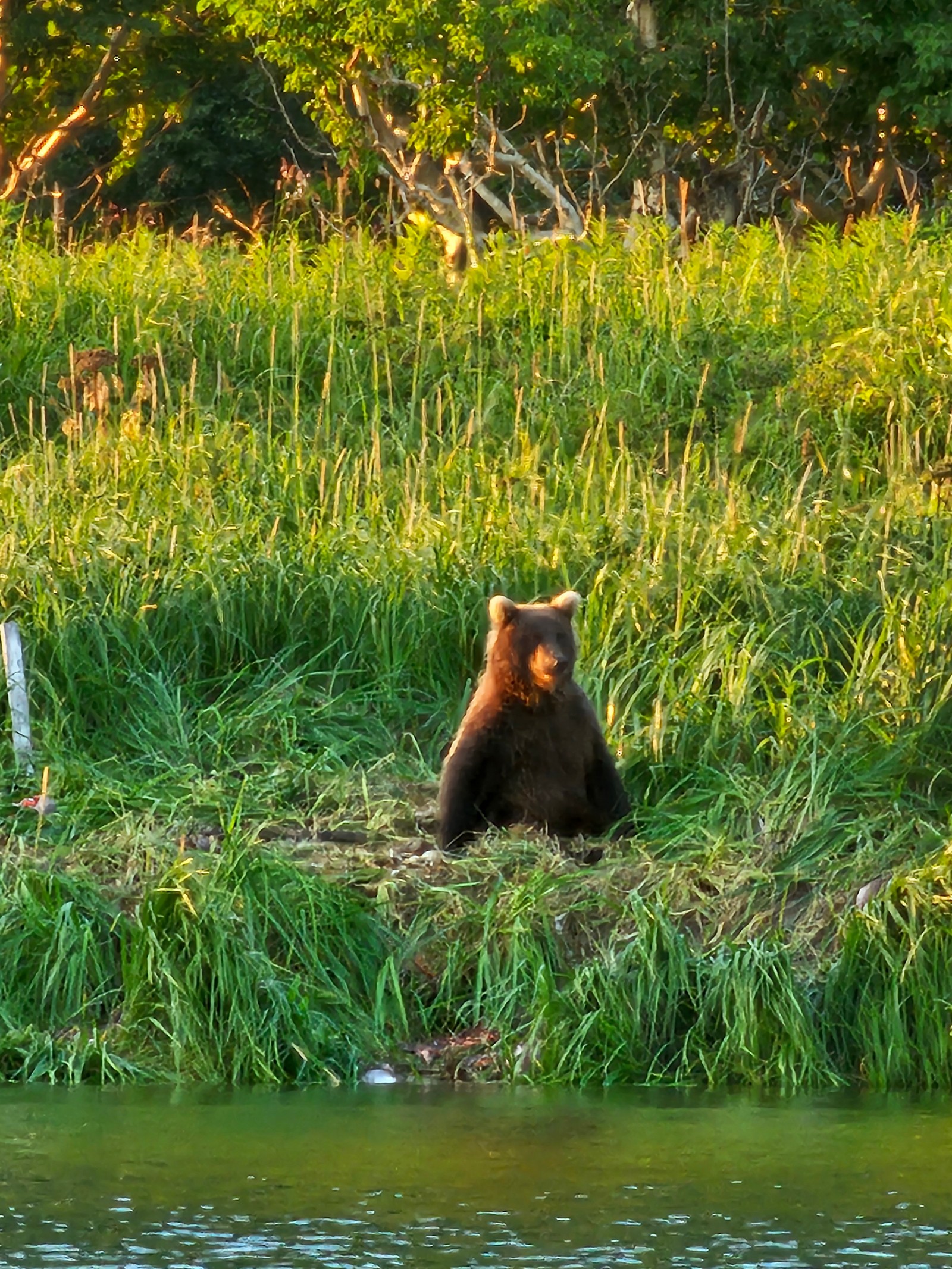 Камчатка: Тихоокеанское Огненное кольцо. (26/42)