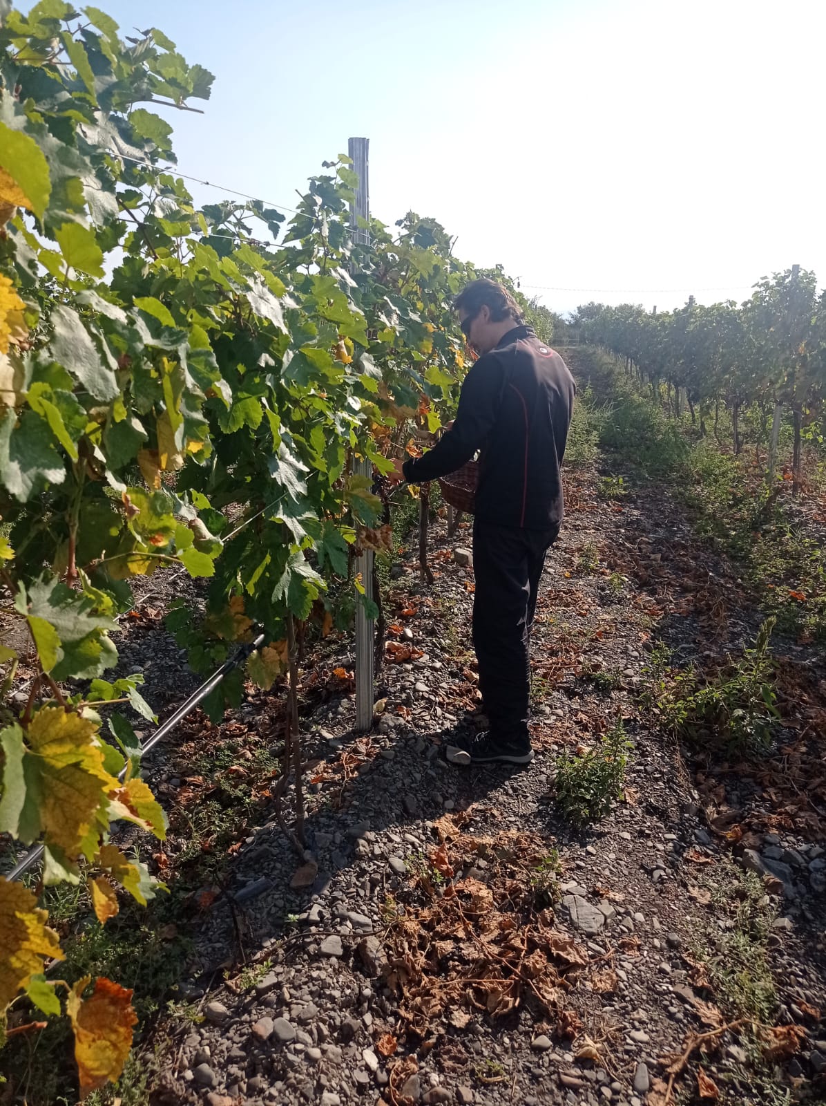 Кавказ покоряет сердца - 11 дней/ 10 ночей (3/16)