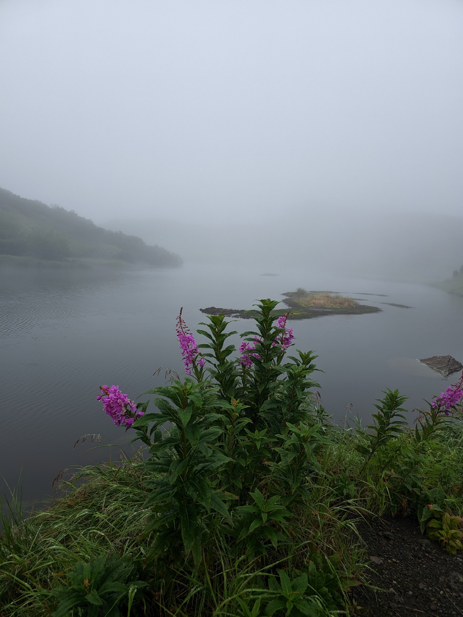 Камчатка: Тихоокеанское Огненное кольцо. (14/42)