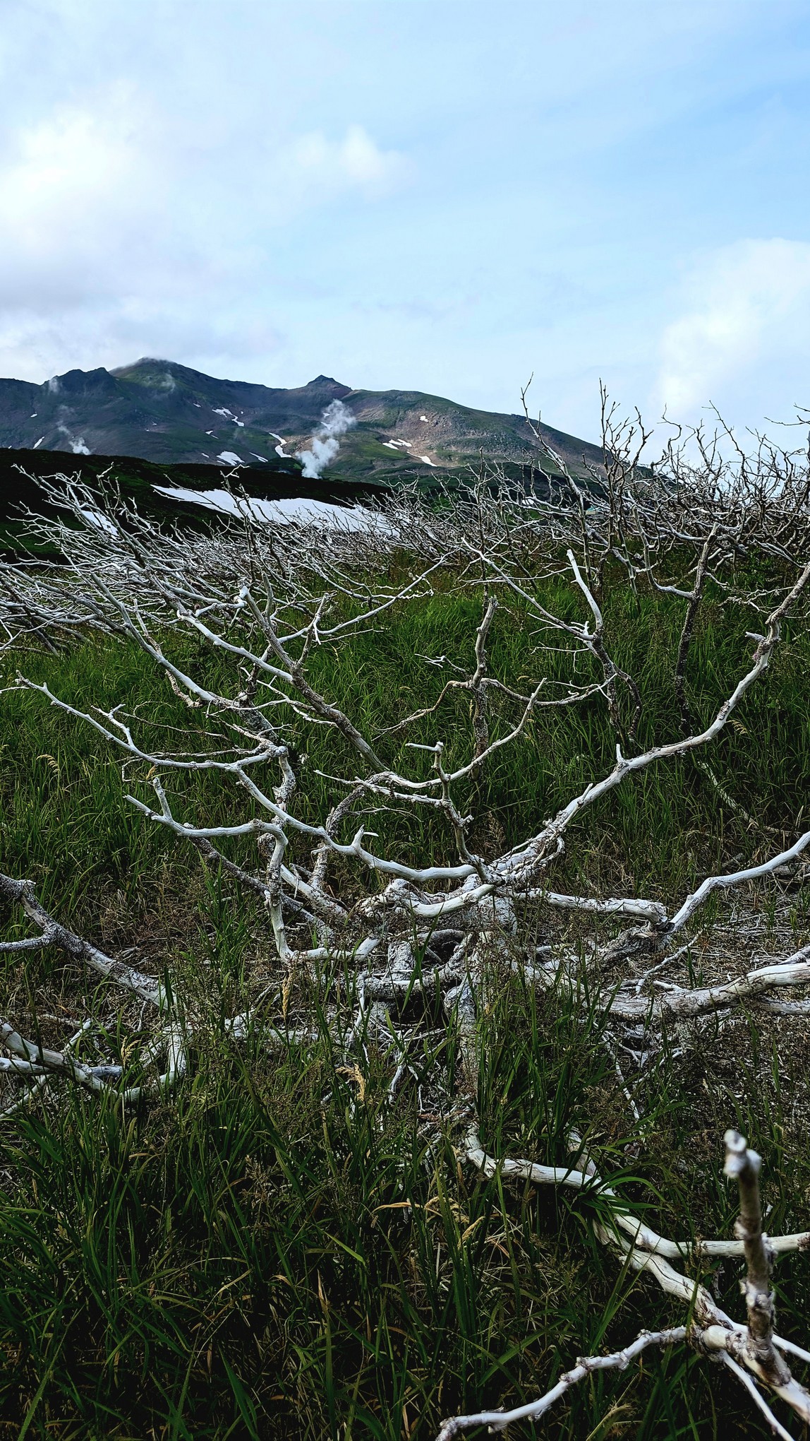Камчатка: Тихоокеанское Огненное кольцо. (16/42)