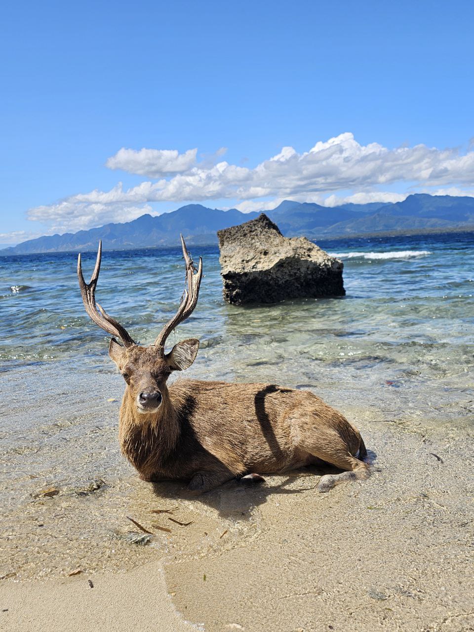 Бали под ключ: вулкан Иджен и острова, комфорт и приключения (37/56)
