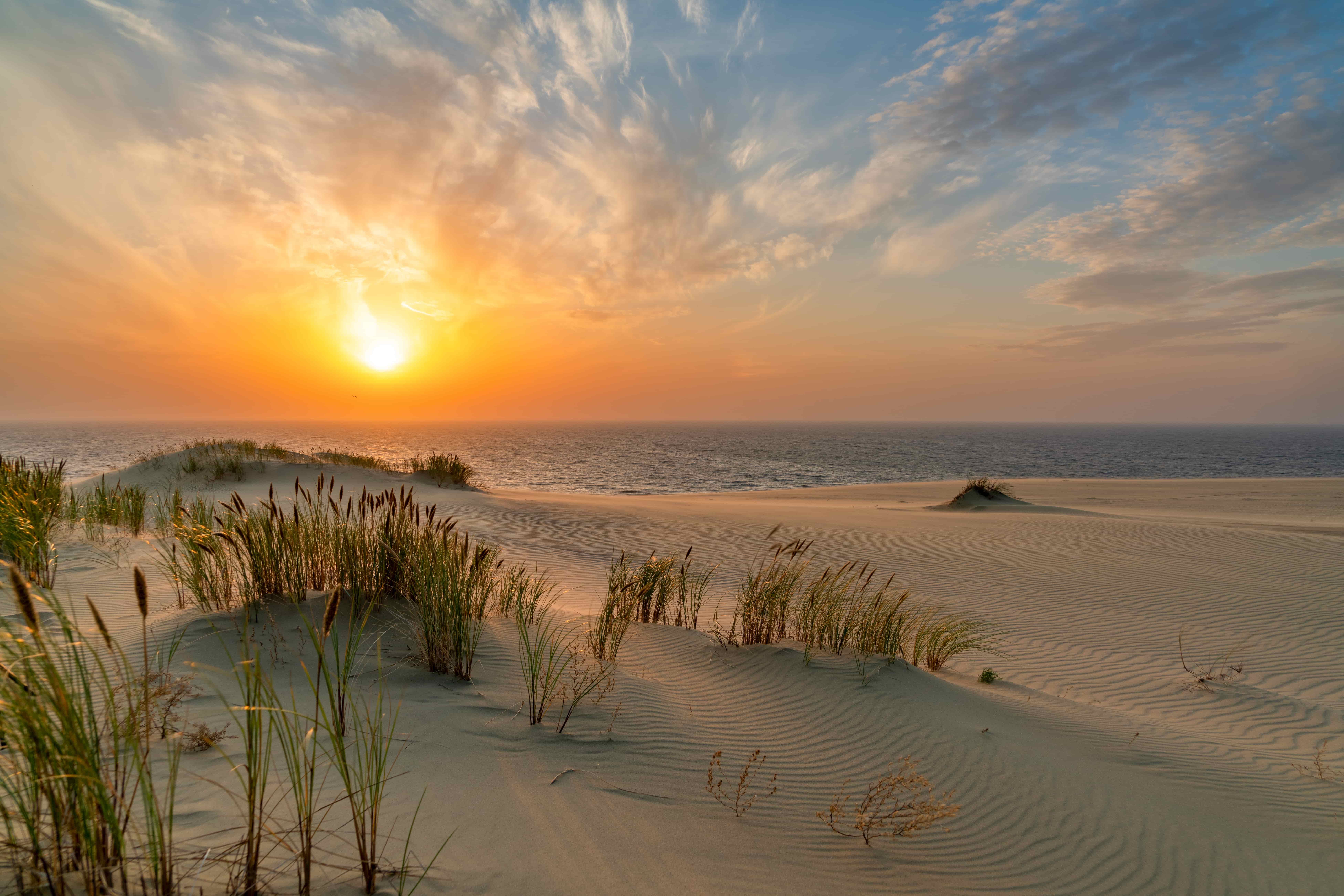 Велопрогулка в Национальном парке Куршская коса (7/8)