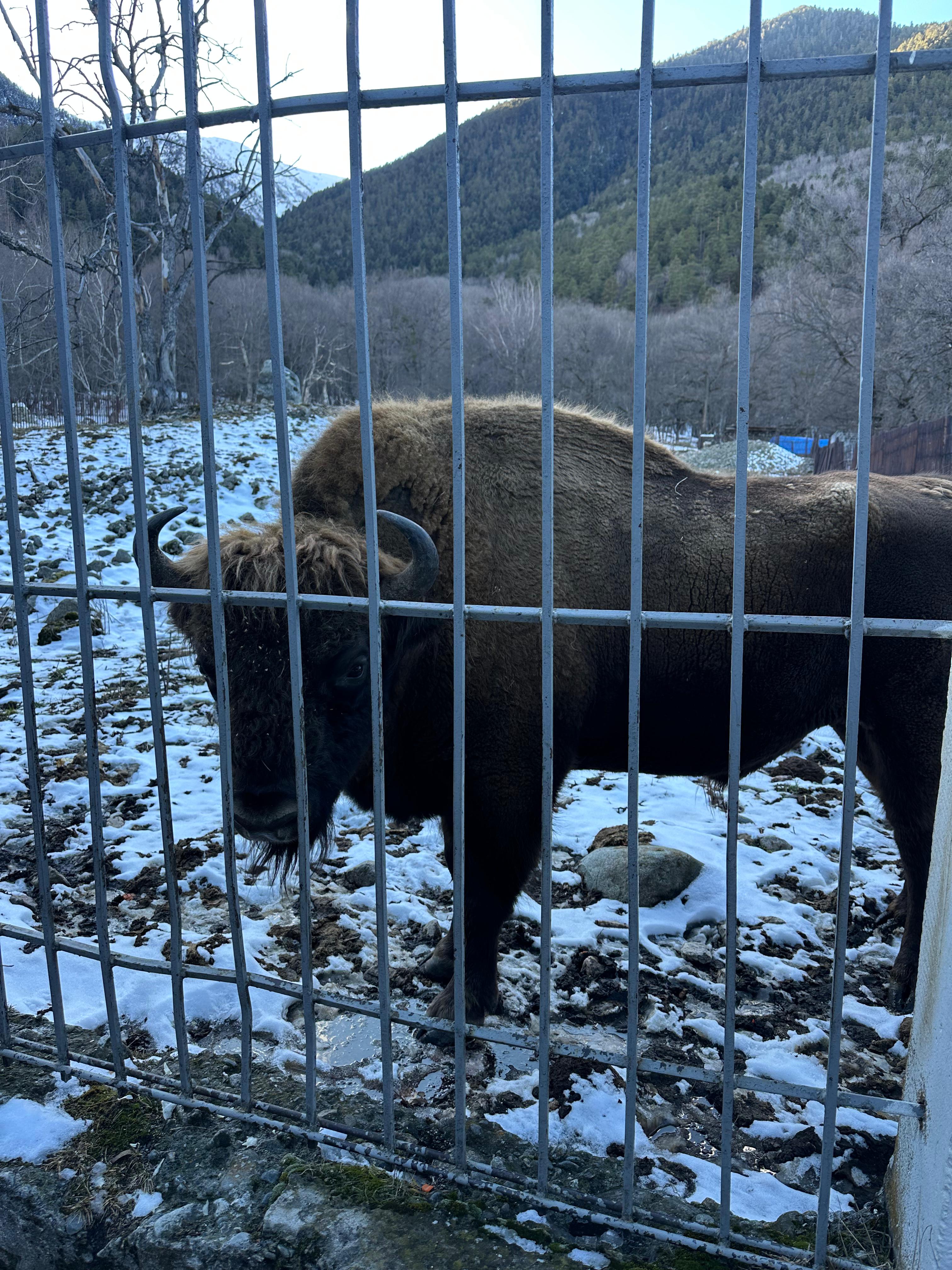 Молодежный тур в Домбай 3дня/2ночи (11/60)