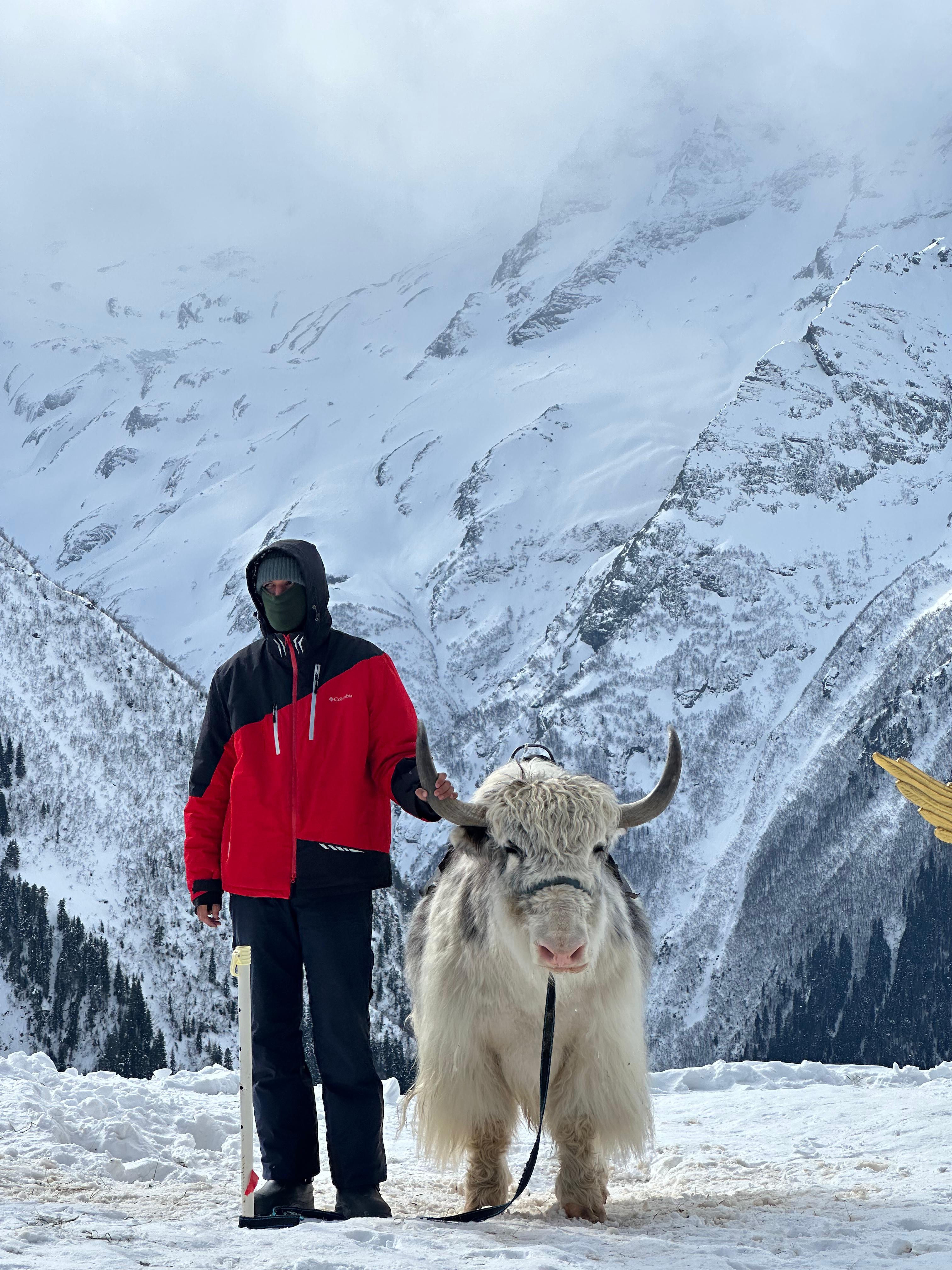 Молодежный тур в Домбай 3дня/2ночи (3/60)
