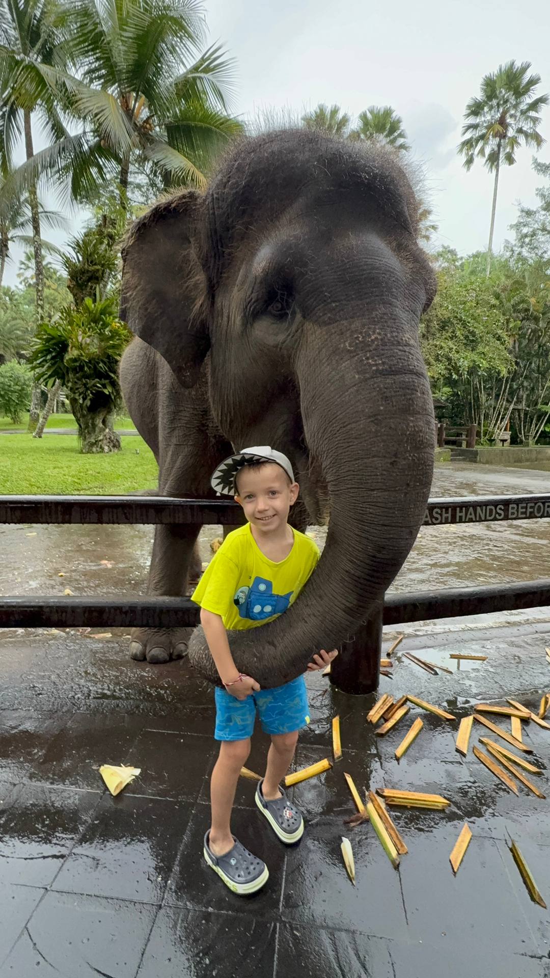 Бали под ключ: вулкан Иджен и острова, комфорт и приключения (13/56)
