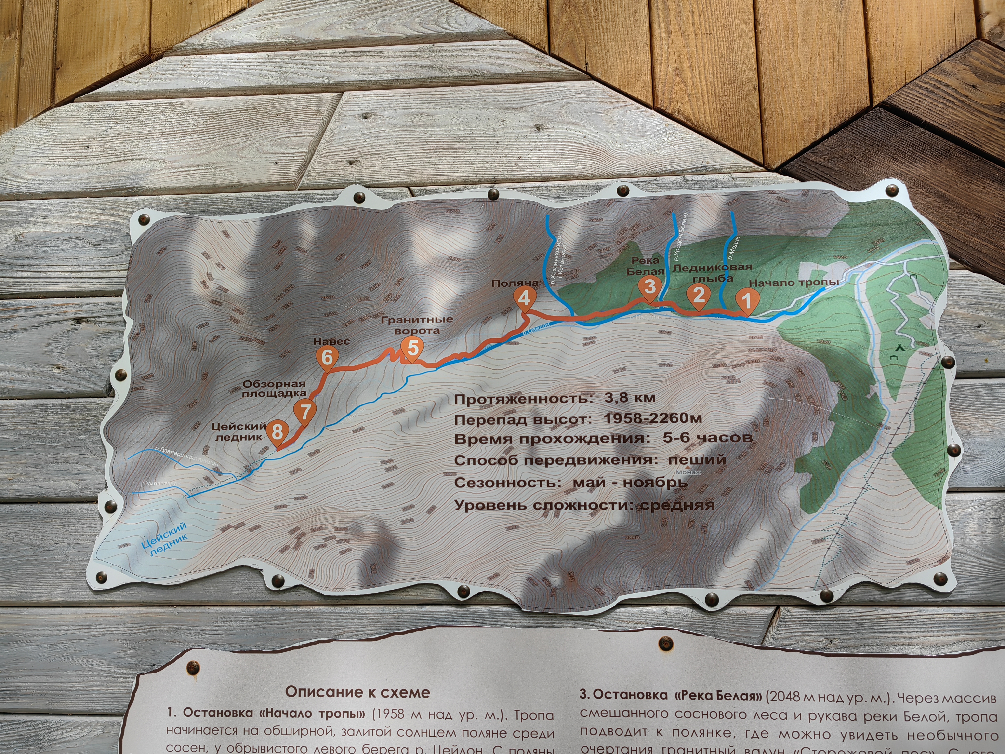 Цейский ледник