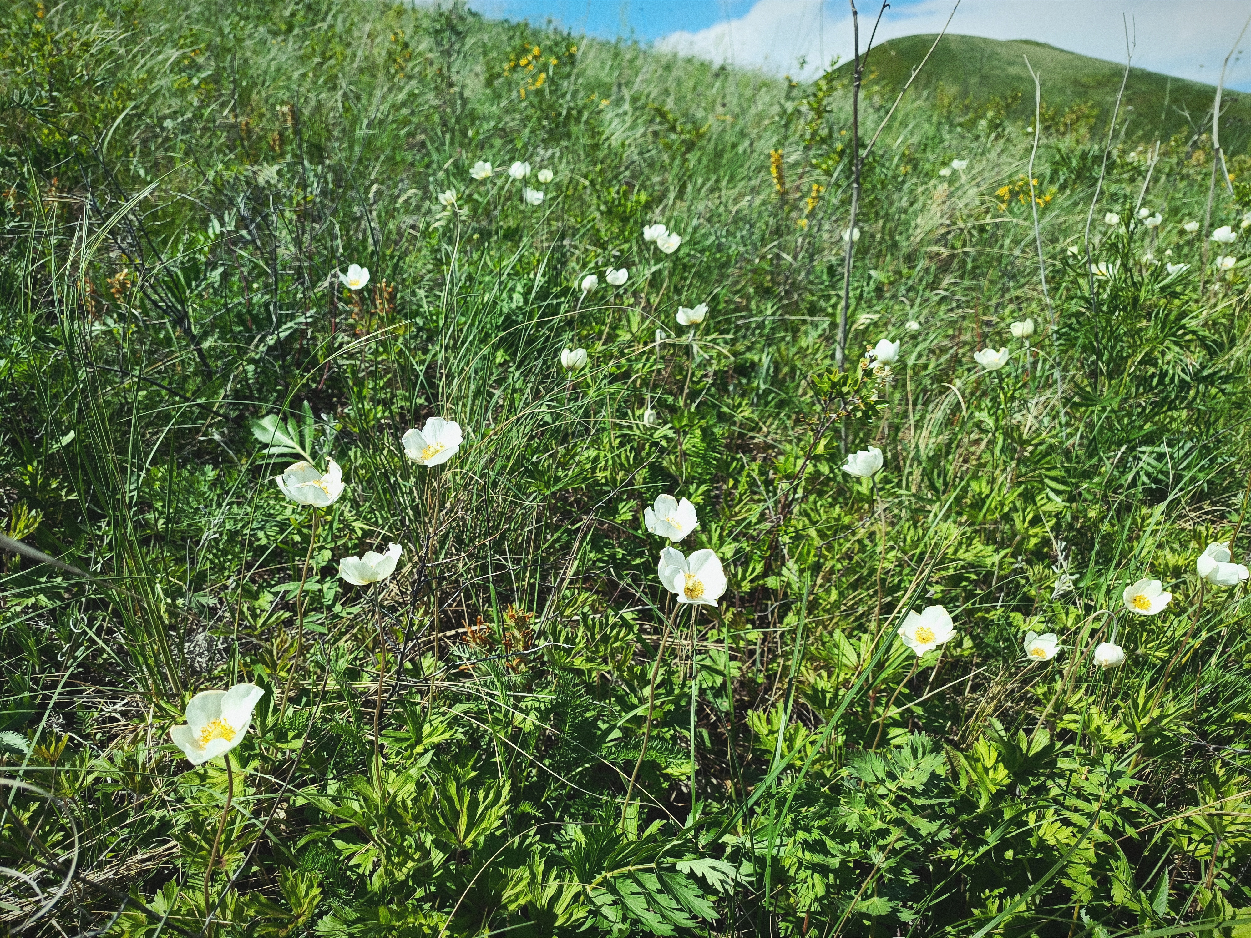 Долгие горы и Карамурунтау. Тропой Степного волка. (19/21)