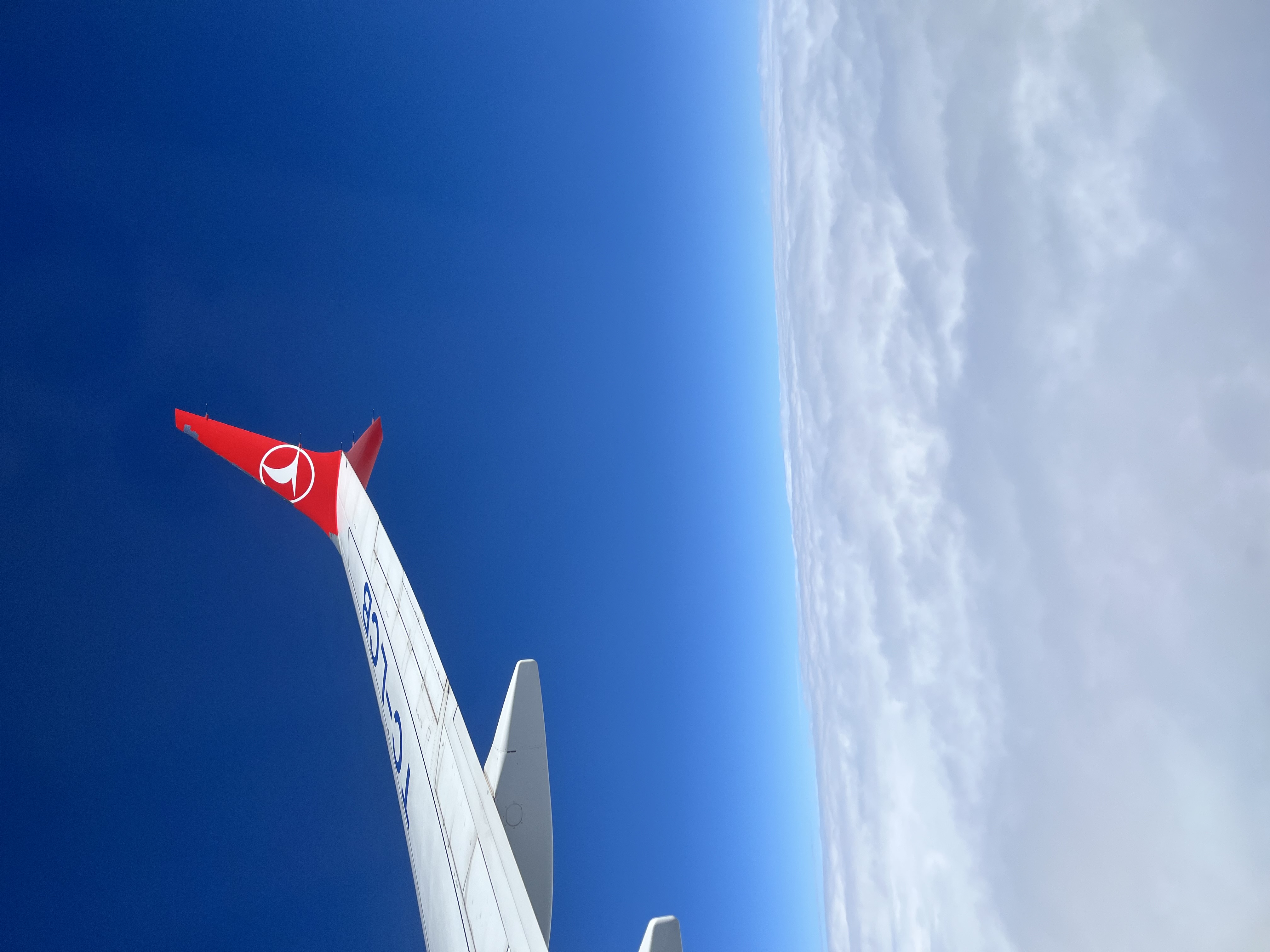 Комбинированный экскурсионный тур Тбилиси+Батуми Грузинская мозаика (18/18)