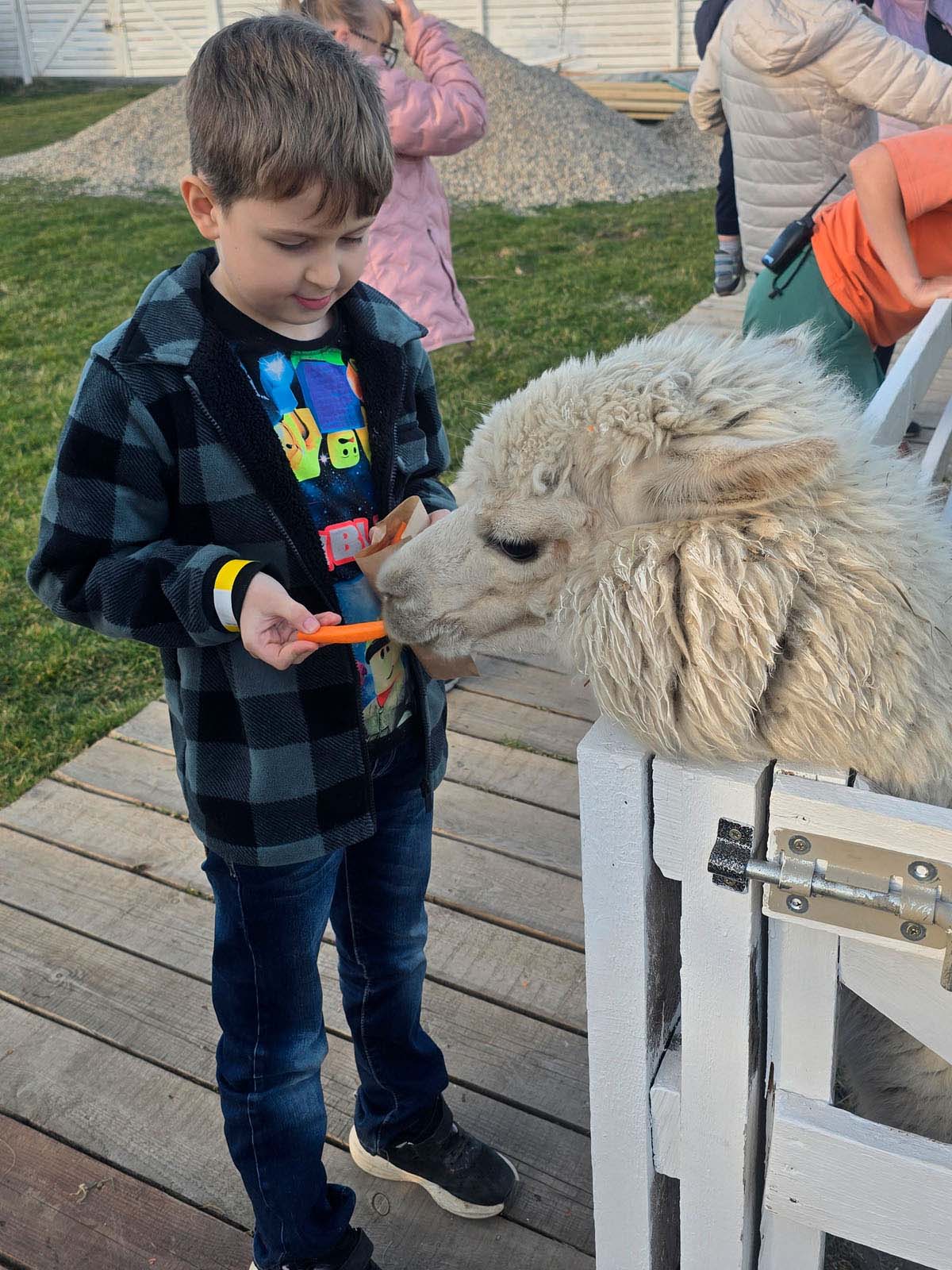 В горы с детьми (26/26)