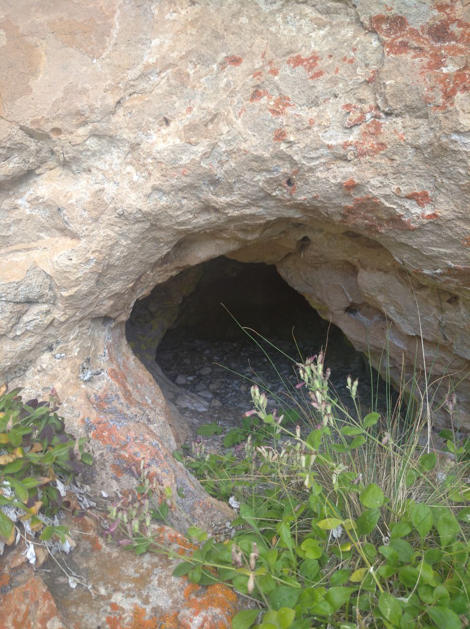 Кавказ - новые горизонты ( со скидкой!!,  все включено , 6 дней) (87/107)