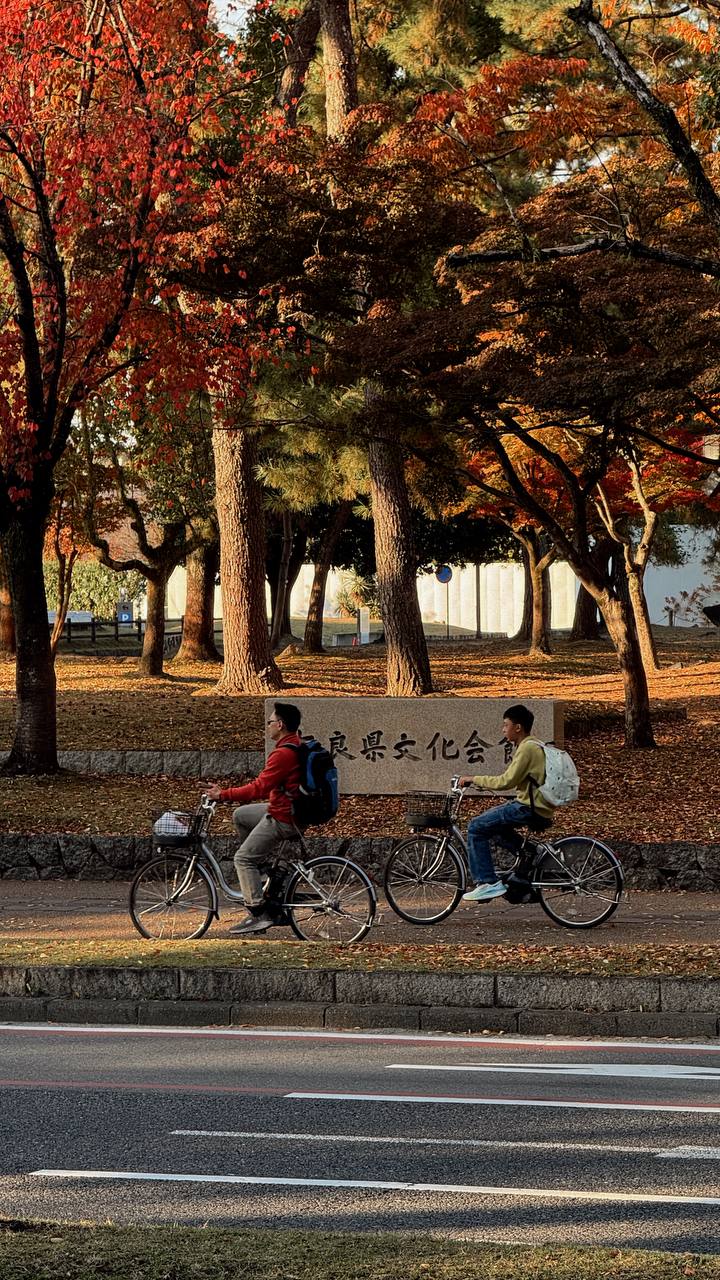 Знакомство с Японией (13/45)