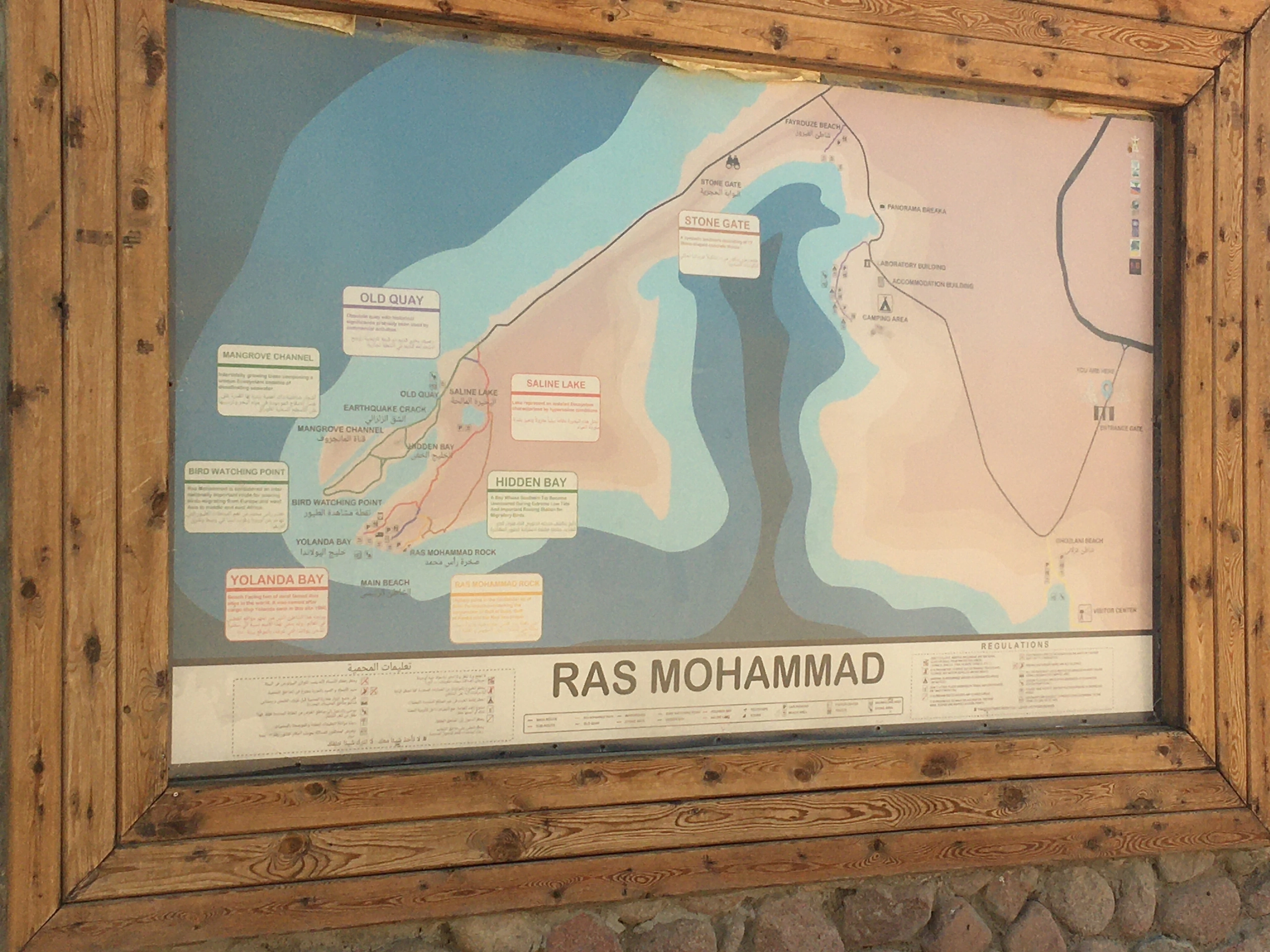 Индивидуальная экскурсия в заповедник рас Мухамад с обедом море продукты на пляже (4/28)