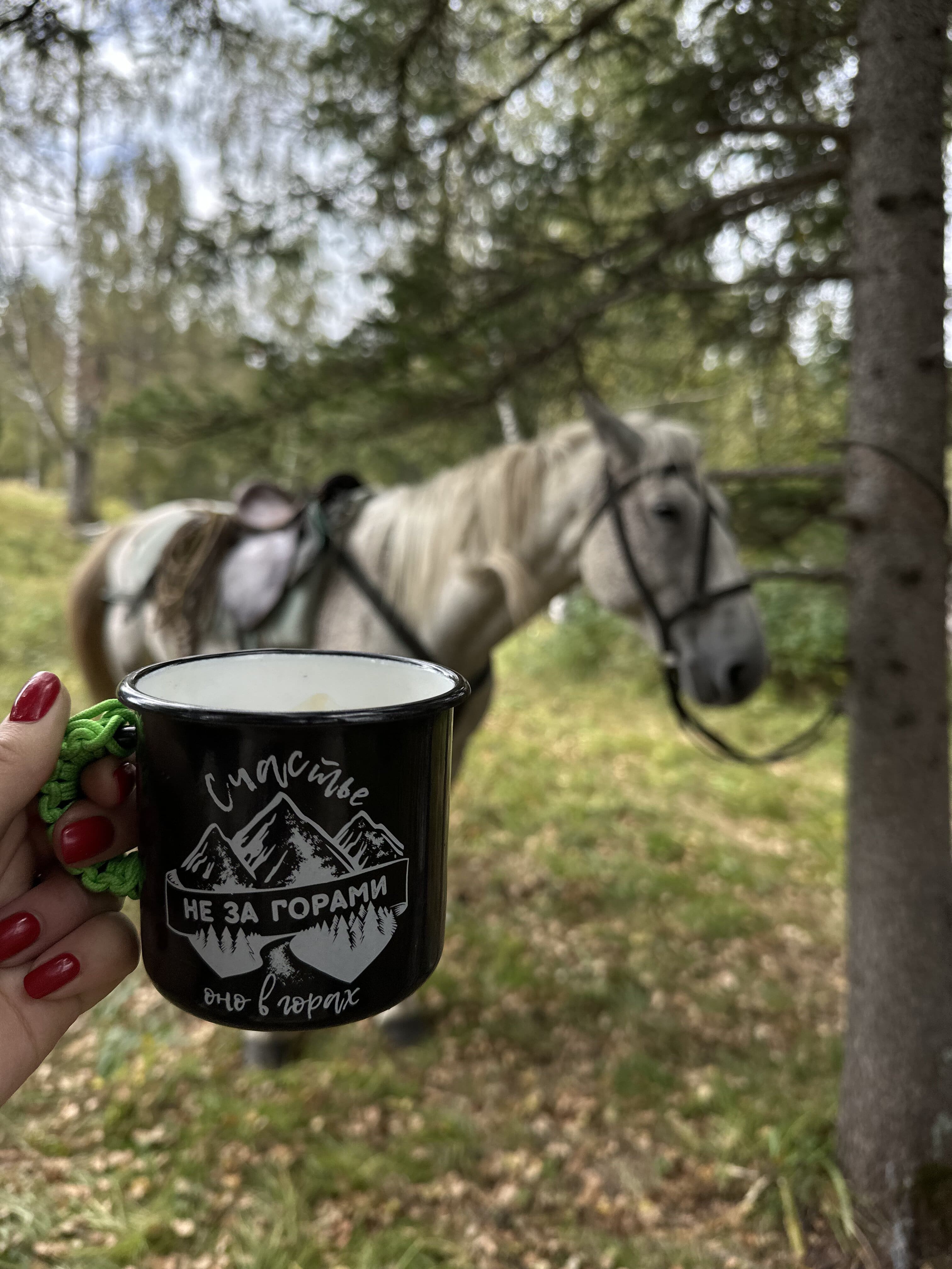 Молодежный конный поход по Алтаю (2/49)