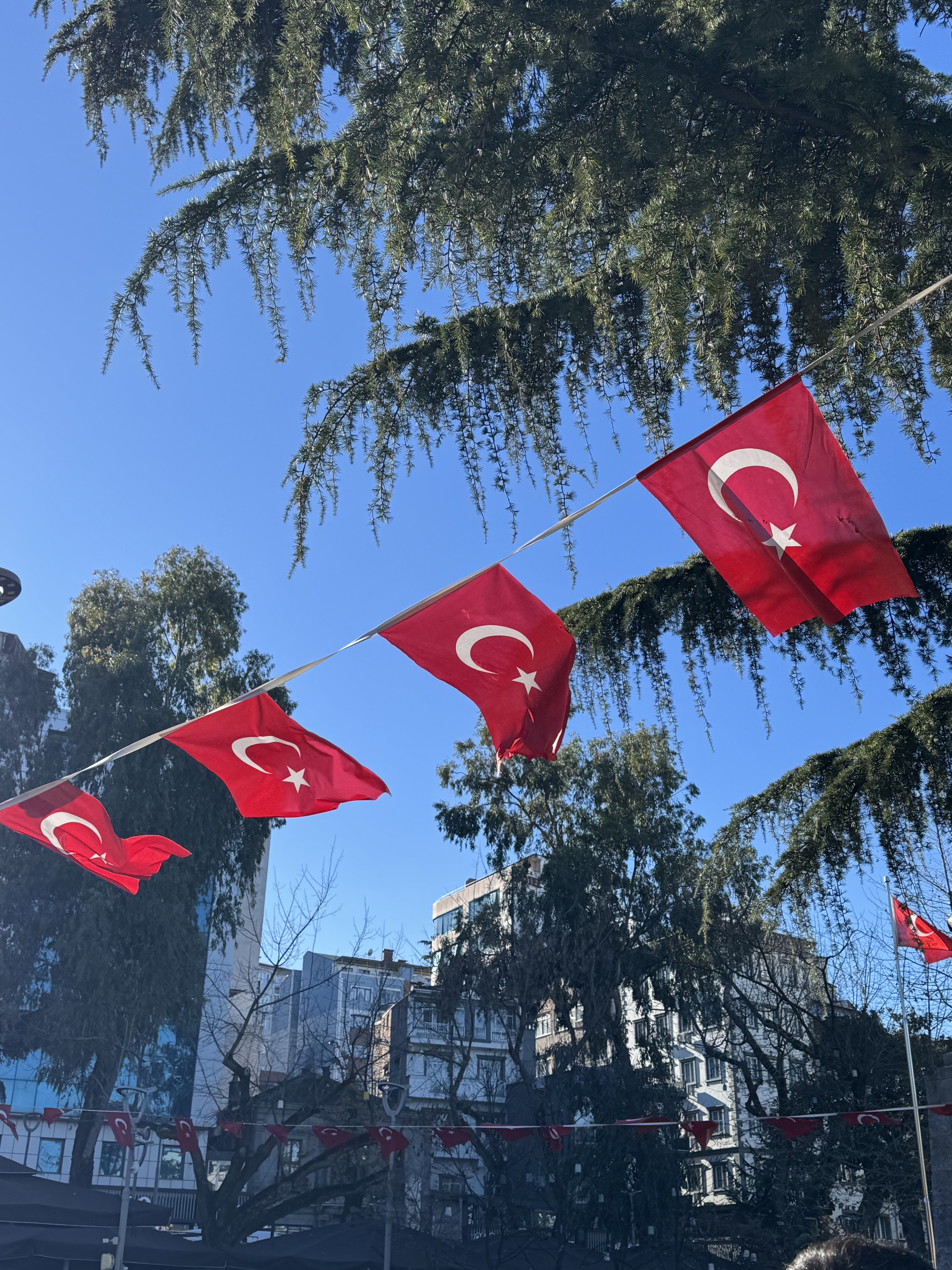 Летняя Грузия! Отправимся на чёрные пески Уреки и не только! (8/11)