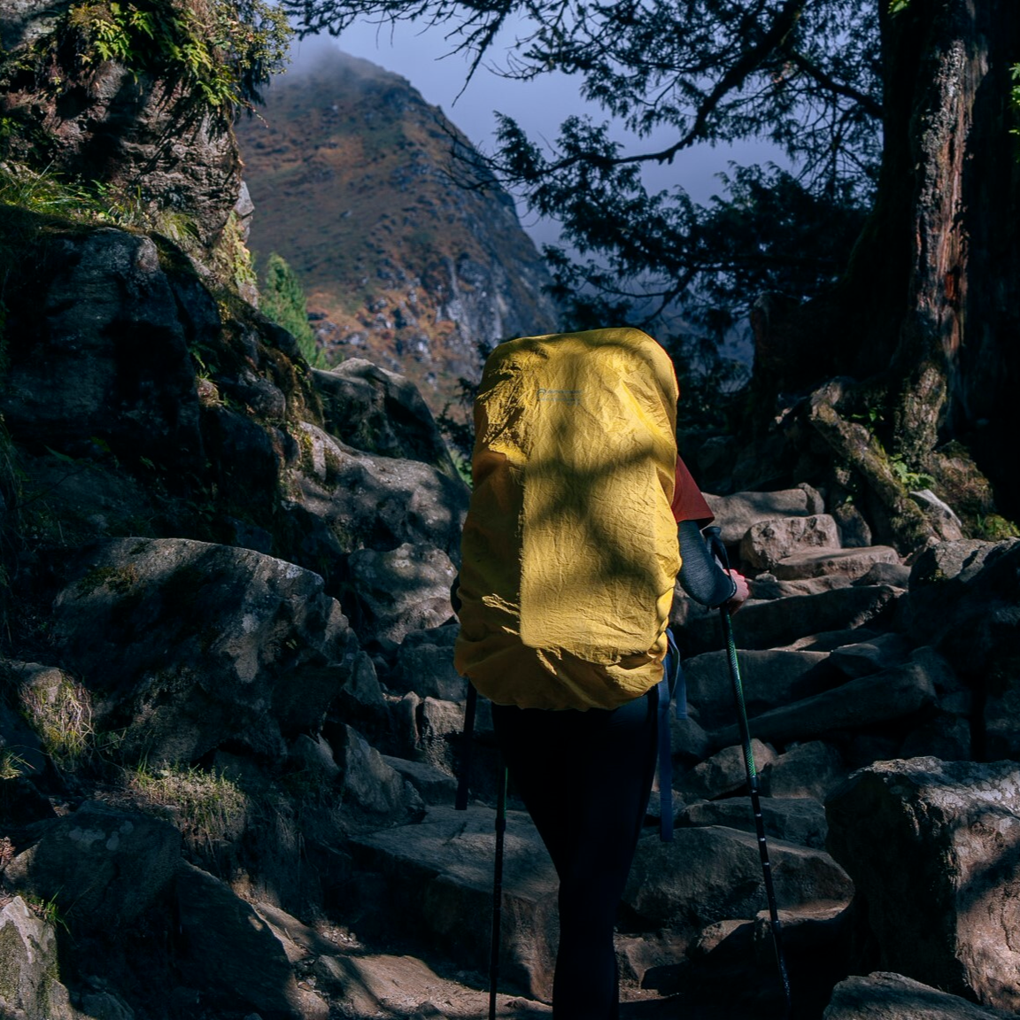 Трек к Базовому лагерю Эвереста с восхождением на Кала-Паттар (5/13)