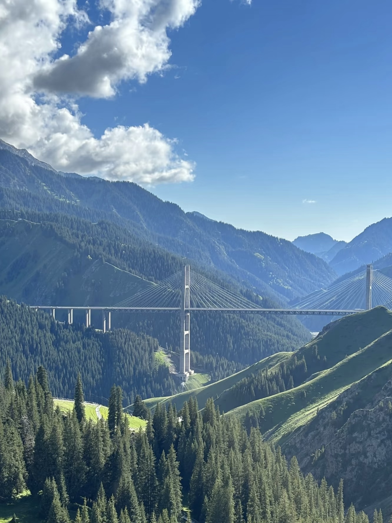 Конная разведка в Китай (4/38)