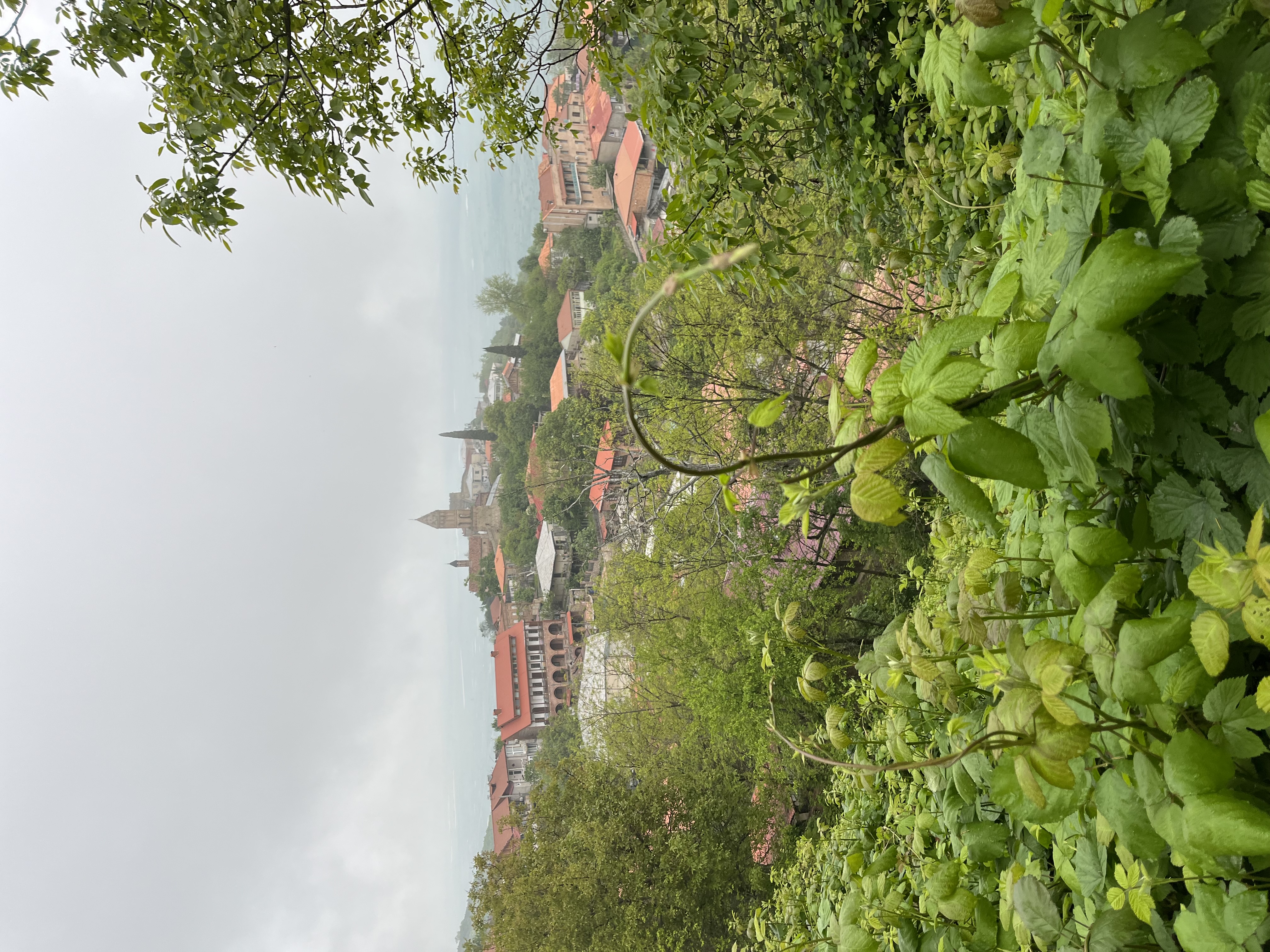 Комбинированный экскурсионный тур Тбилиси+Батуми Грузинская мозаика (9/18)