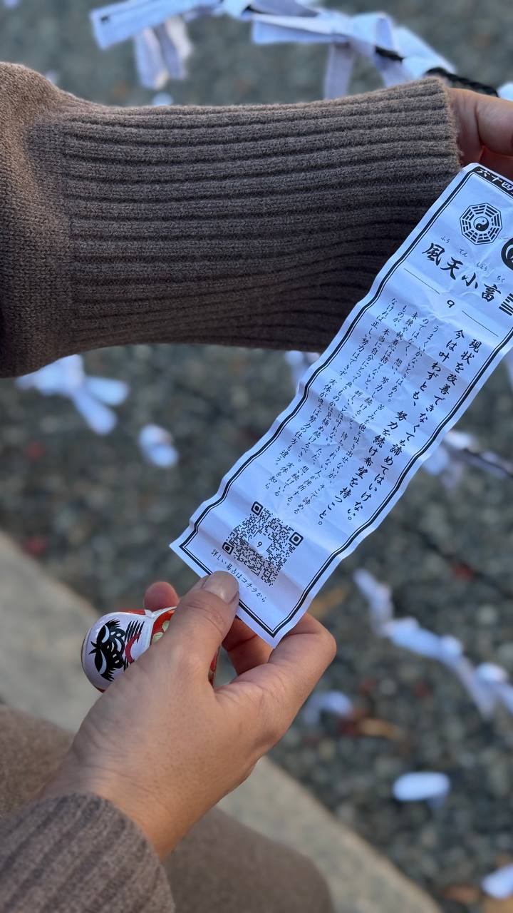 Знакомство с Японией (4/45)