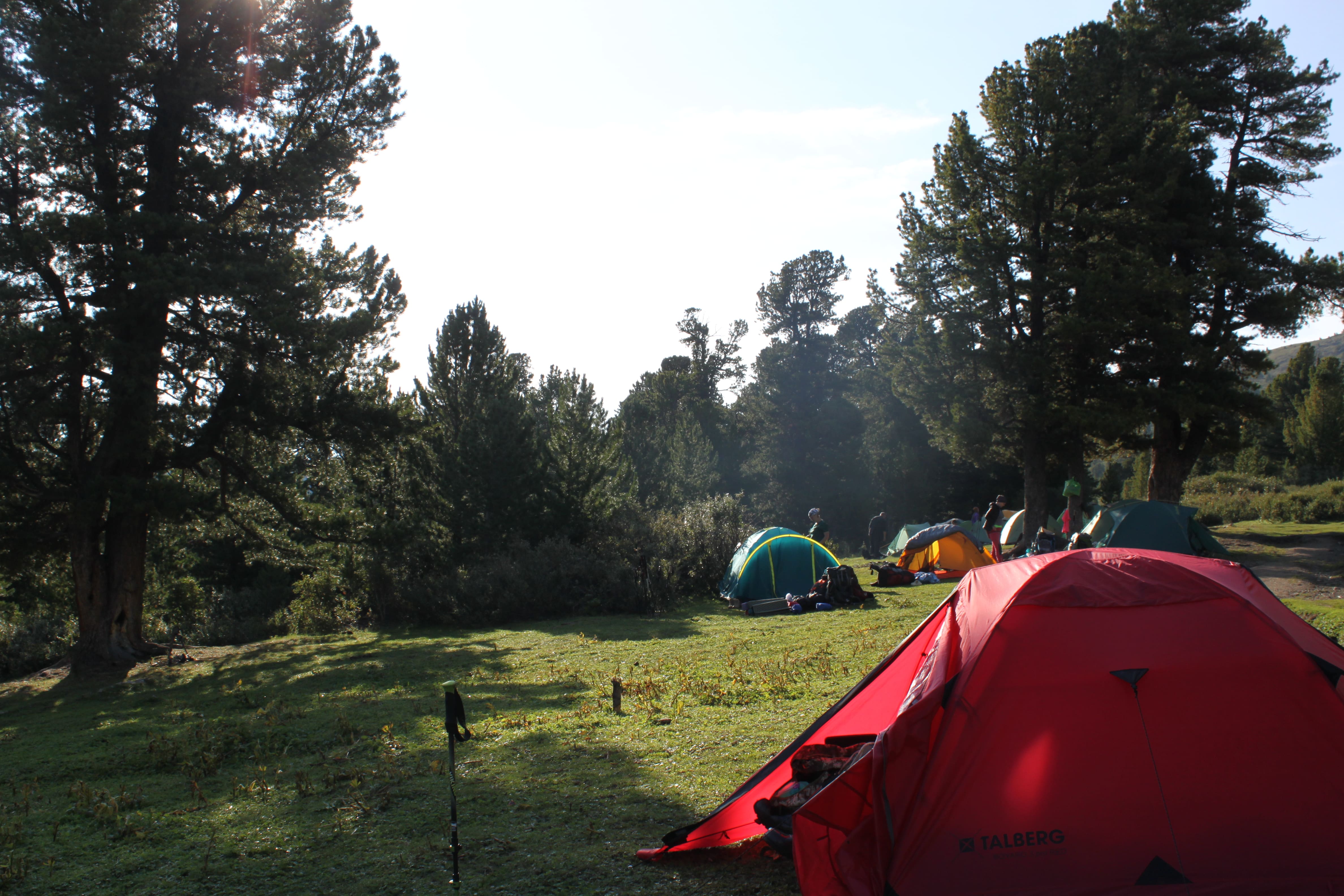 Молодежный конный поход по Алтаю (48/49)