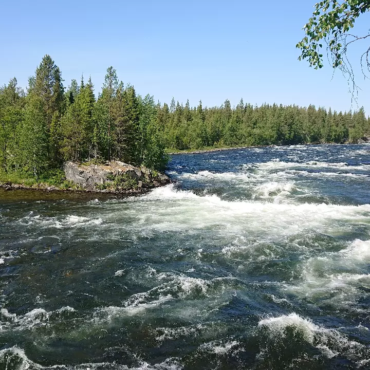 Сплав по реке Умба с выходом в Белое море (2/9)