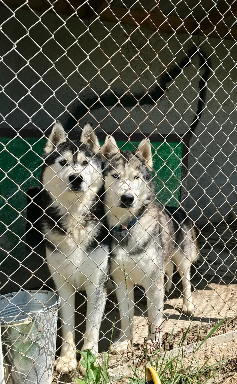 В горы с детьми (11/26)