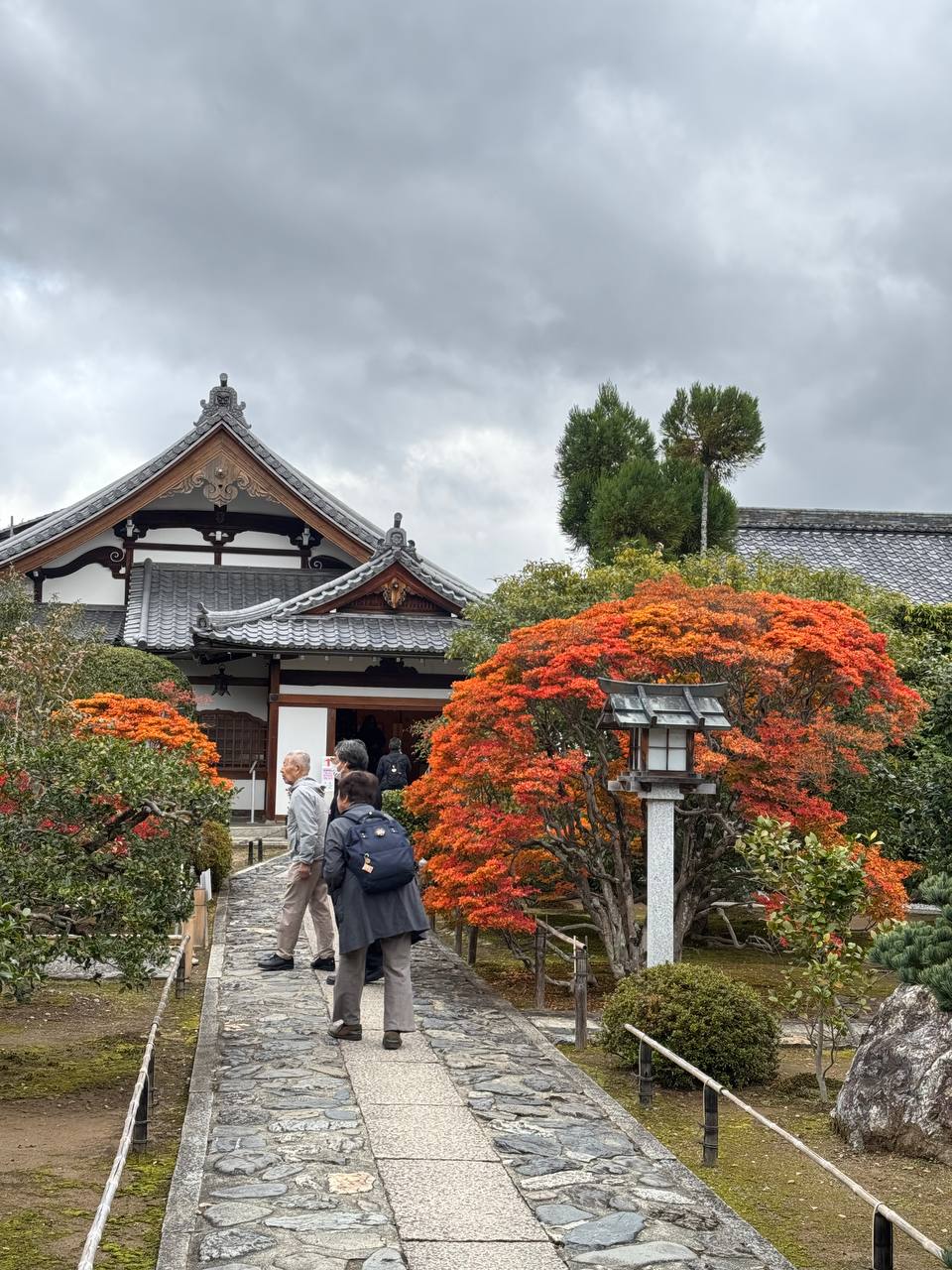 Знакомство с Японией (7/45)