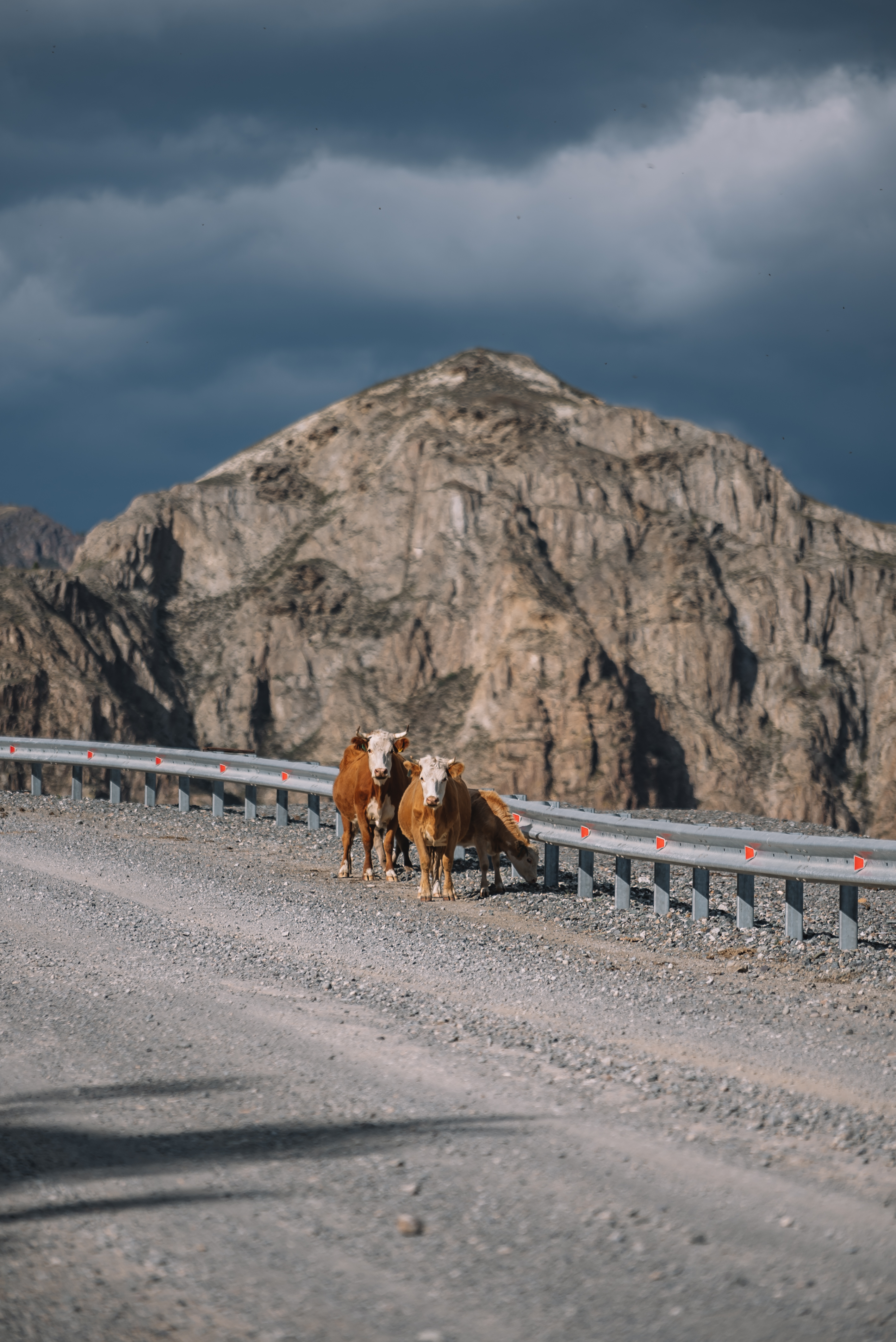 Молодежный конный поход по Алтаю (16/49)