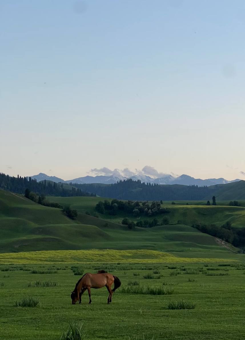 Конная разведка в Китай (28/38)