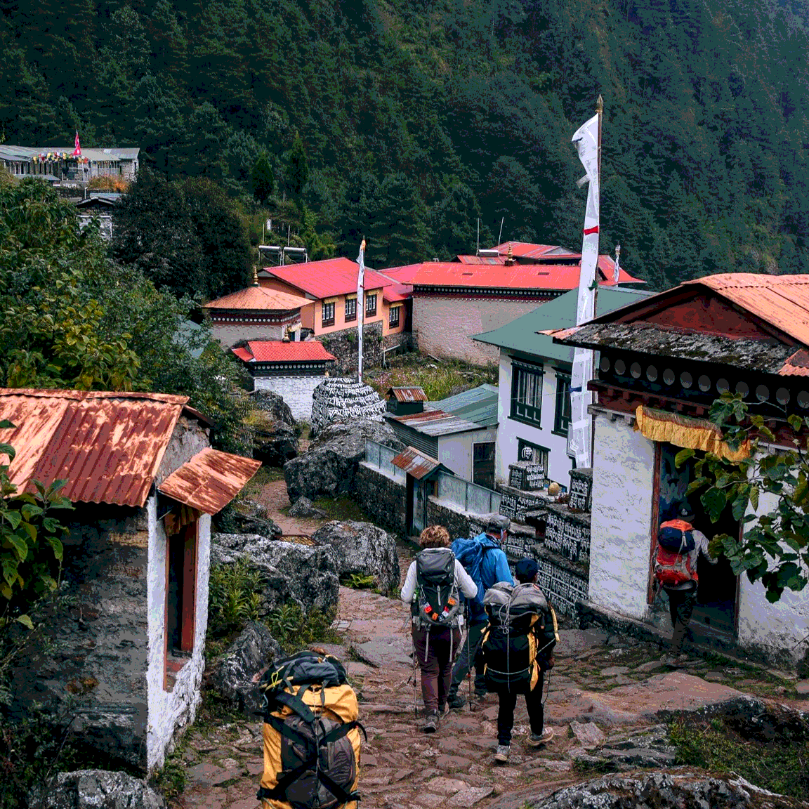 Трек к Базовому лагерю Эвереста с восхождением на Кала-Паттар (8/13)
