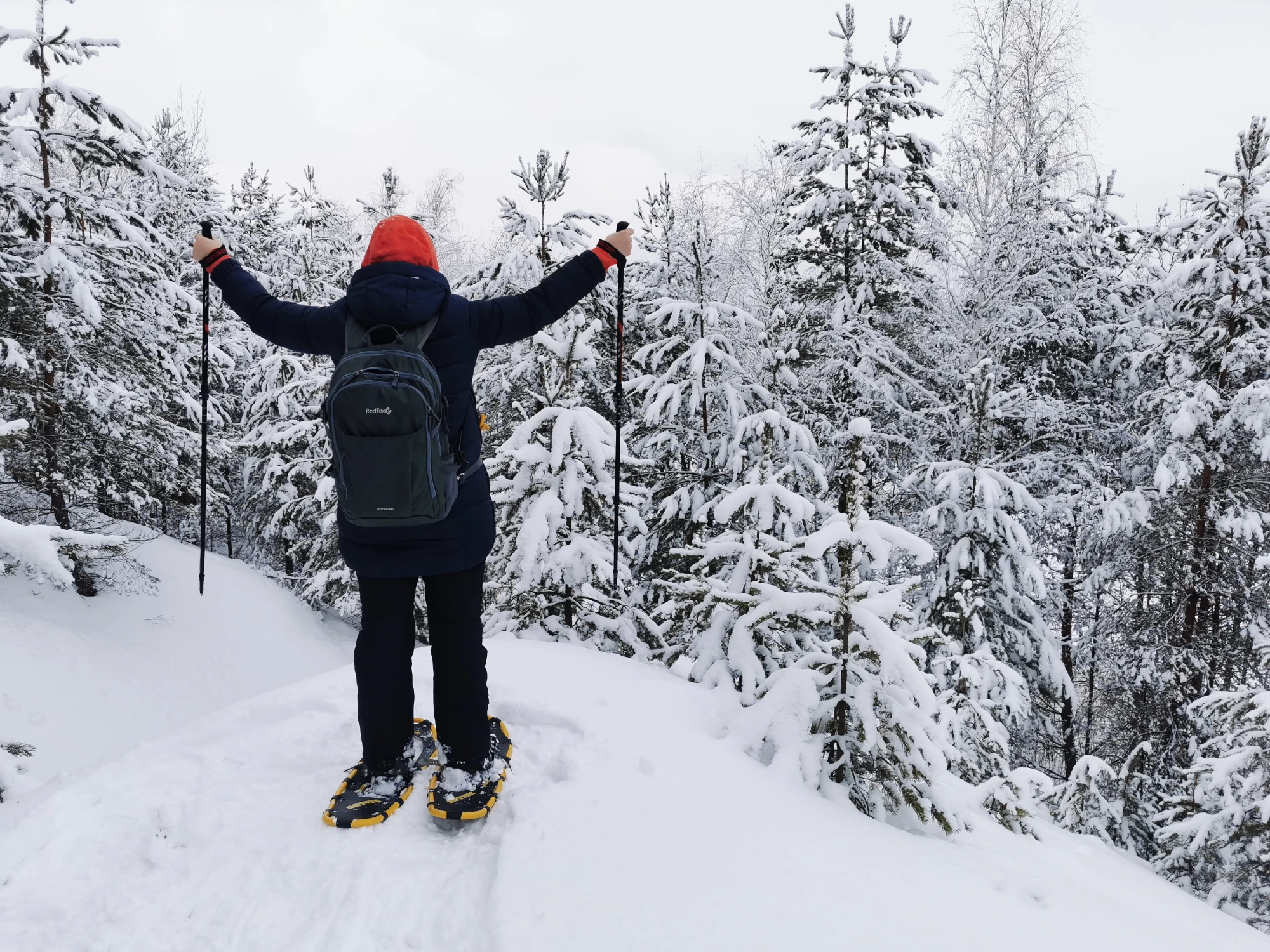 Подмосковная Карелия на снегоступах (2/17)
