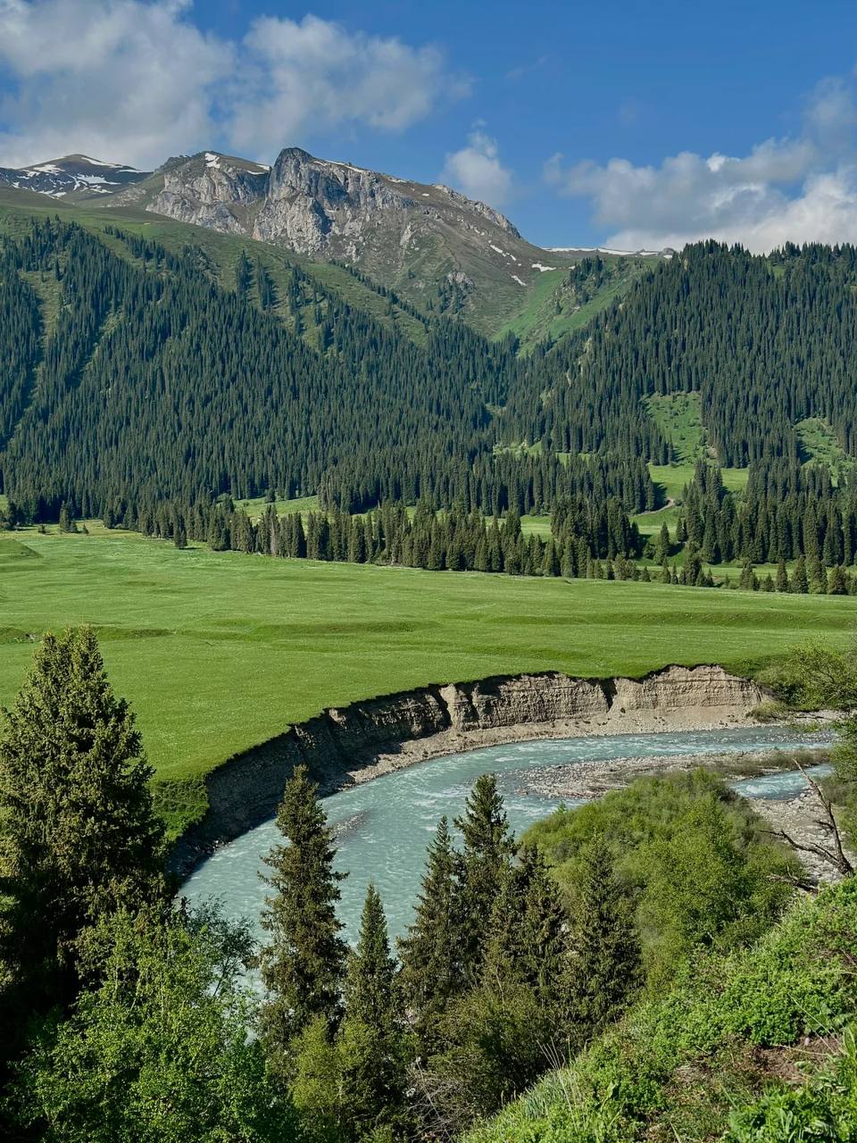 Конная разведка в Китай (38/38)