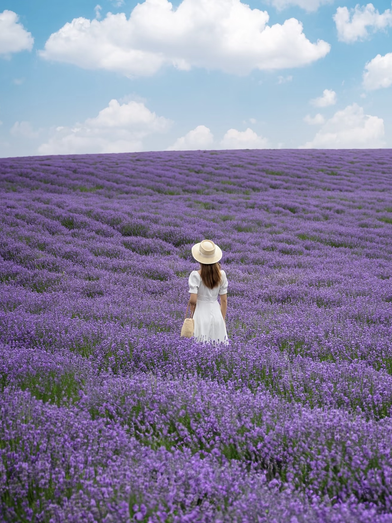 Конная разведка в Китай (2/38)