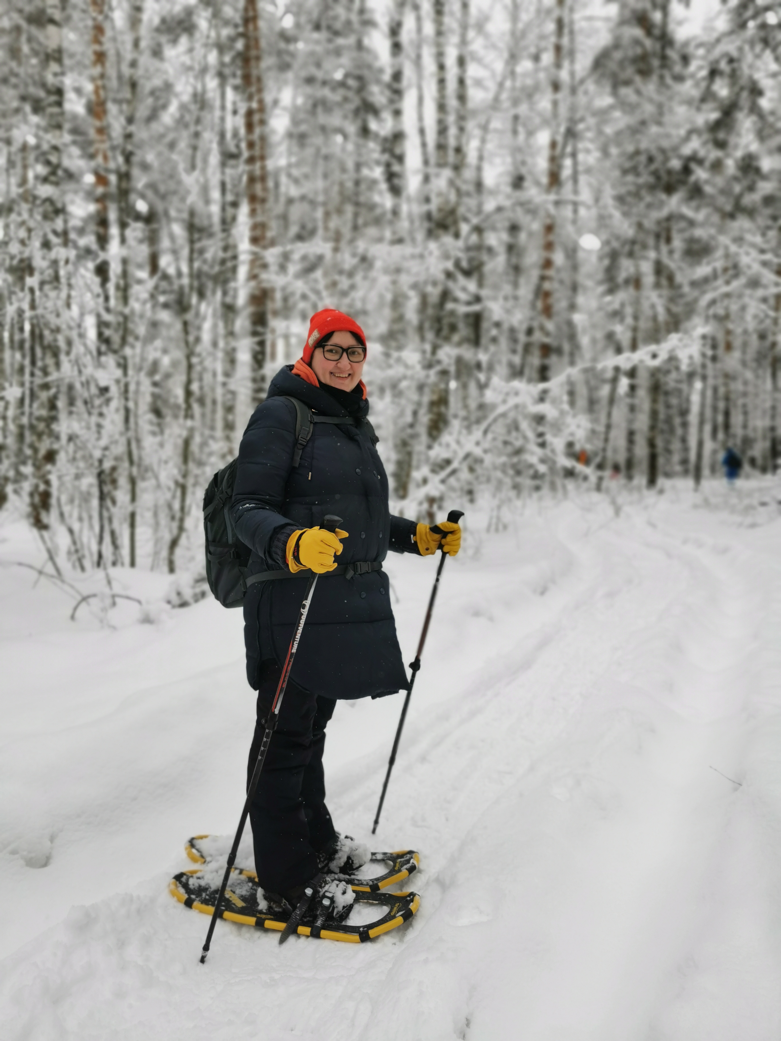 Подмосковная Карелия на снегоступах (11/17)