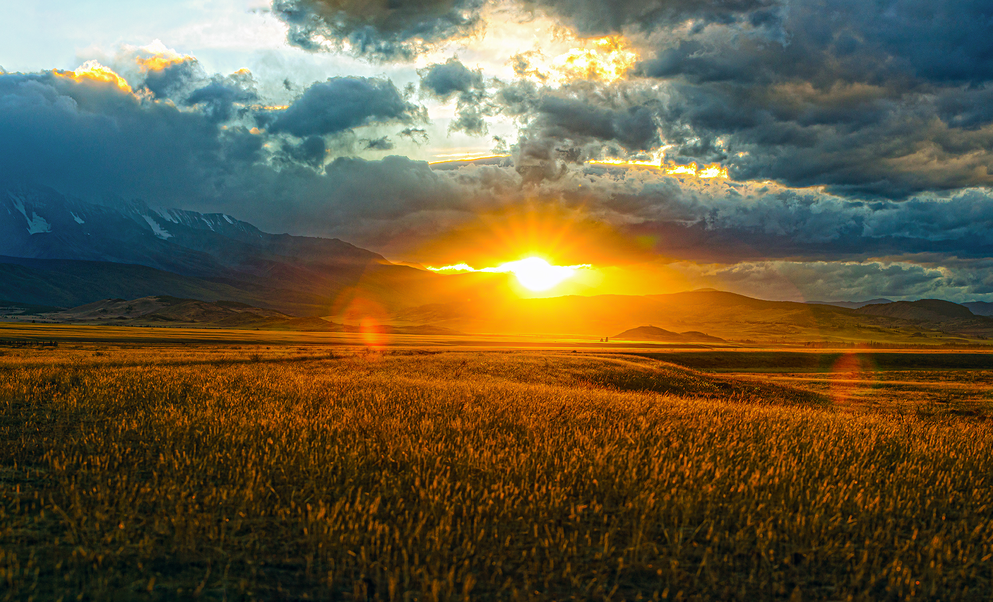 Алтай. Чуйский тракт и Телецкое озеро. (29/47)