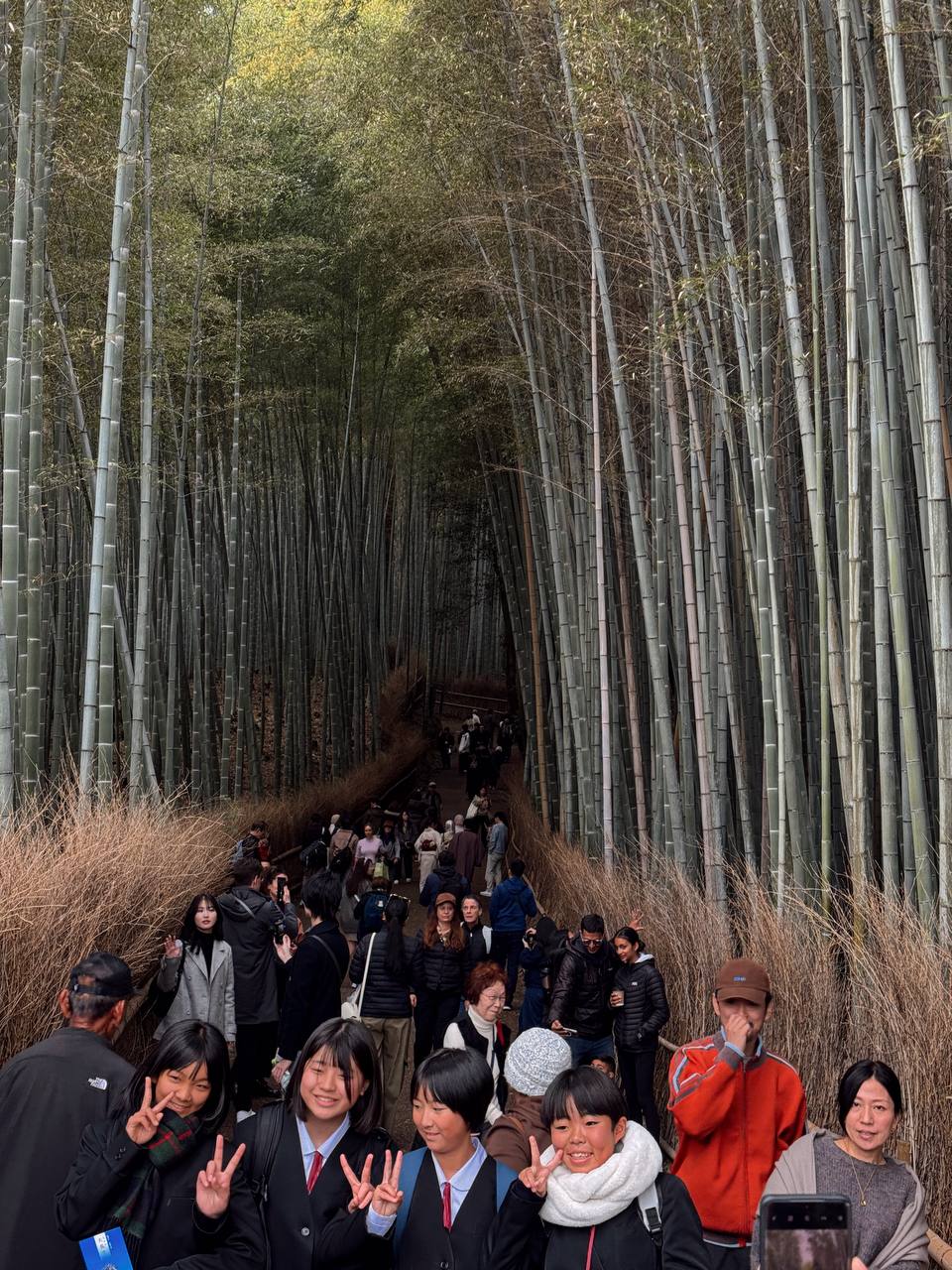 Знакомство с Японией (6/45)