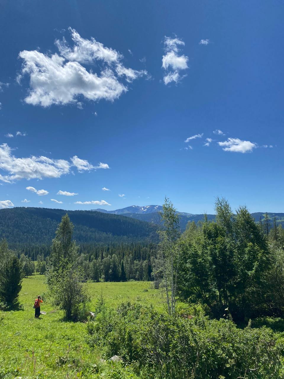 Молодежный конный поход по Алтаю (21/49)