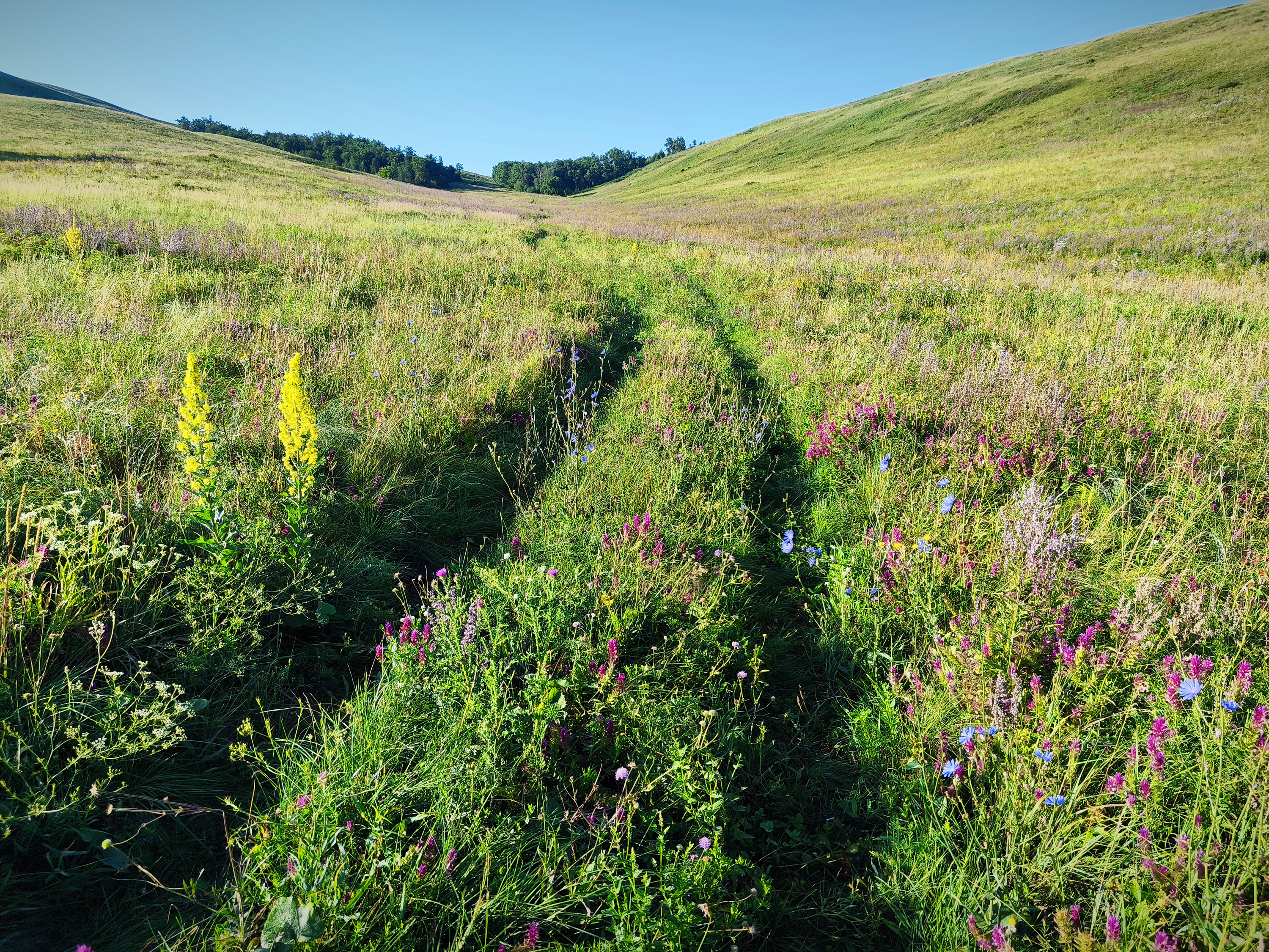 Долгие горы и Карамурунтау. Тропой Степного волка. (13/21)