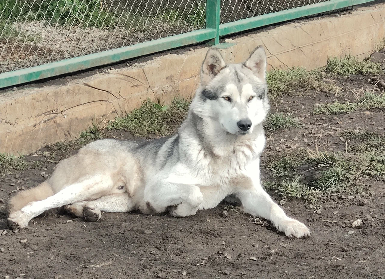 В горы с детьми (10/26)