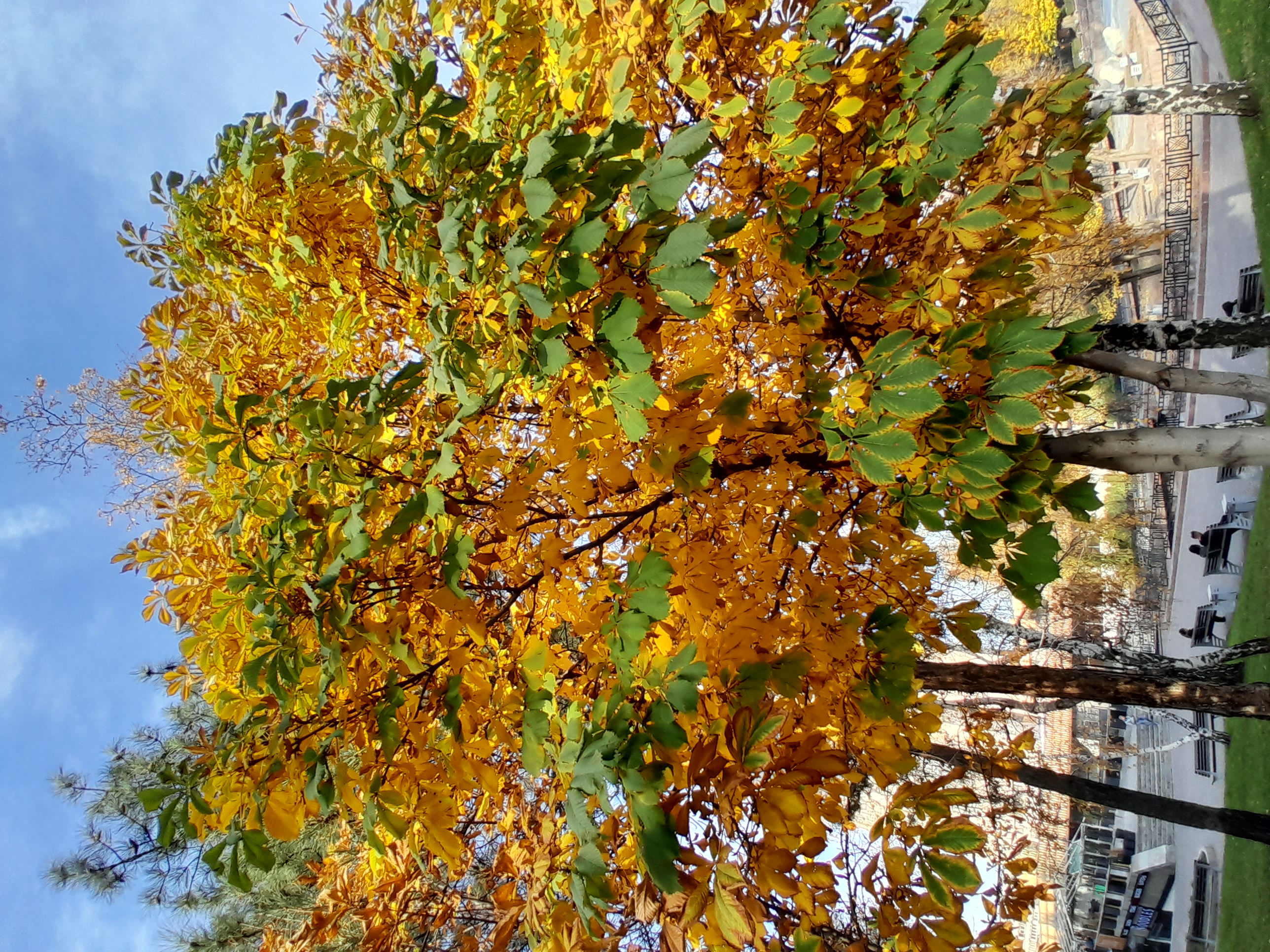 Экскурсия по проспекту Абая — история и современность Алматы. (28/31)