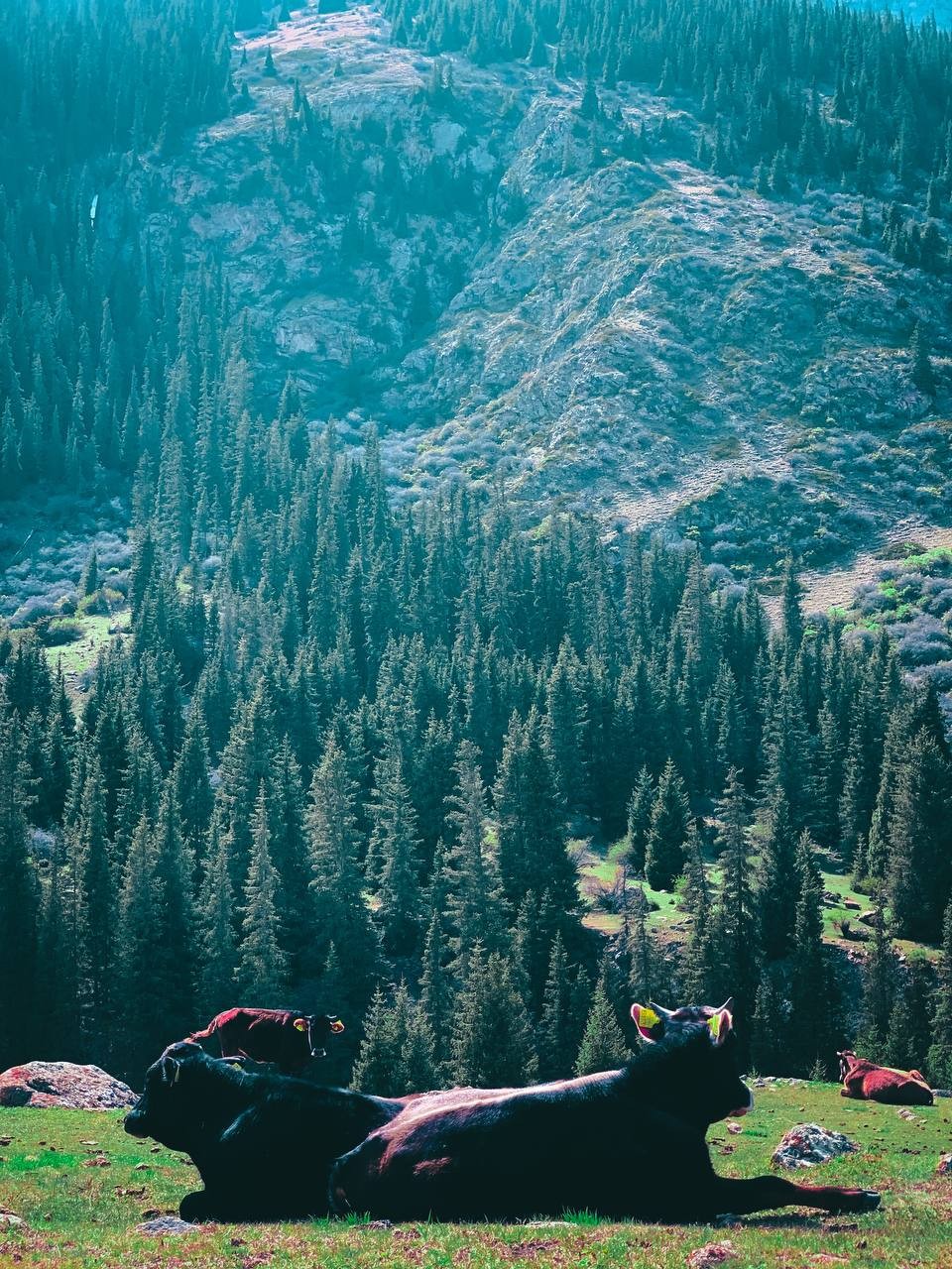 Киргизия вокруг Иссык-Куля (10/10)