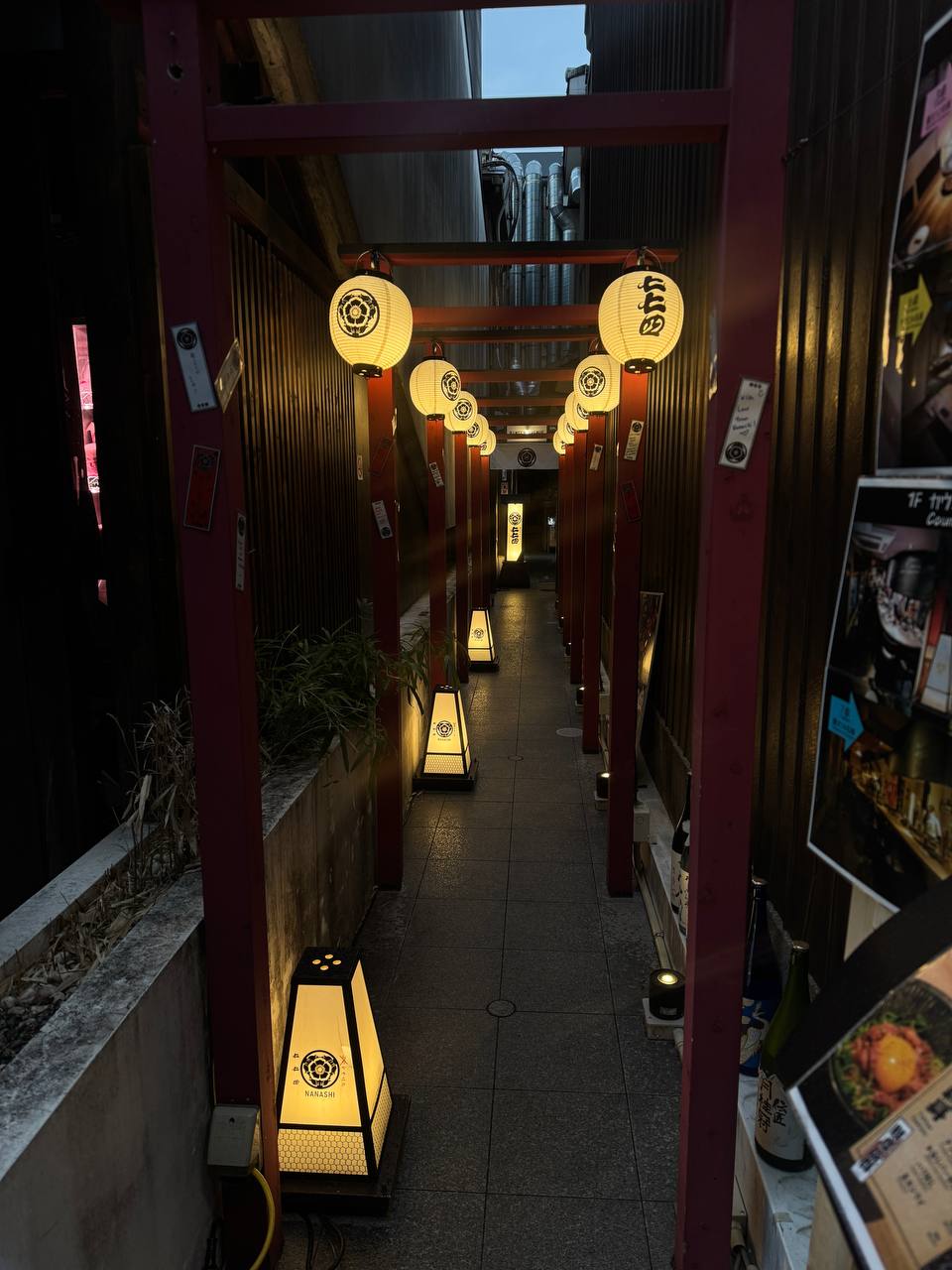 Знакомство с Японией (12/45)