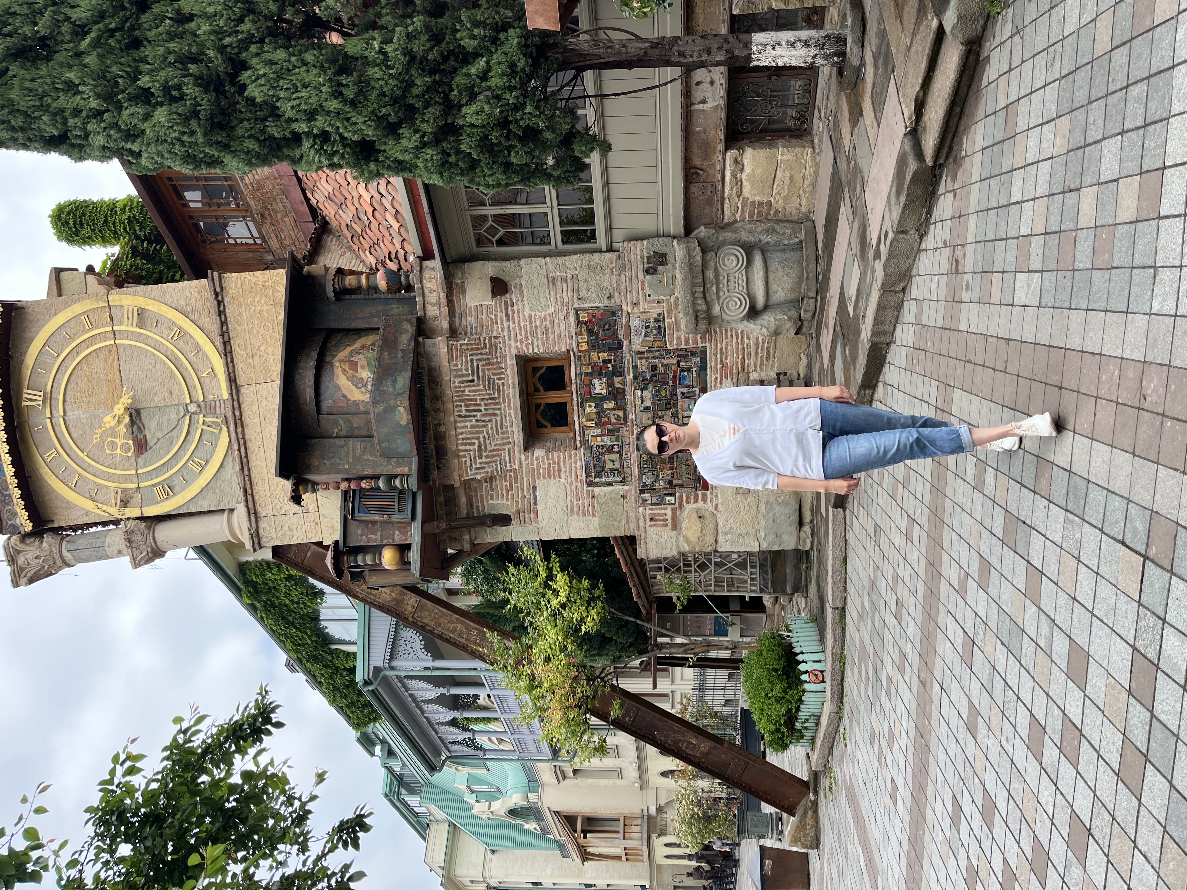 Комбинированный экскурсионный тур Тбилиси+Батуми Грузинская мозаика (16/18)