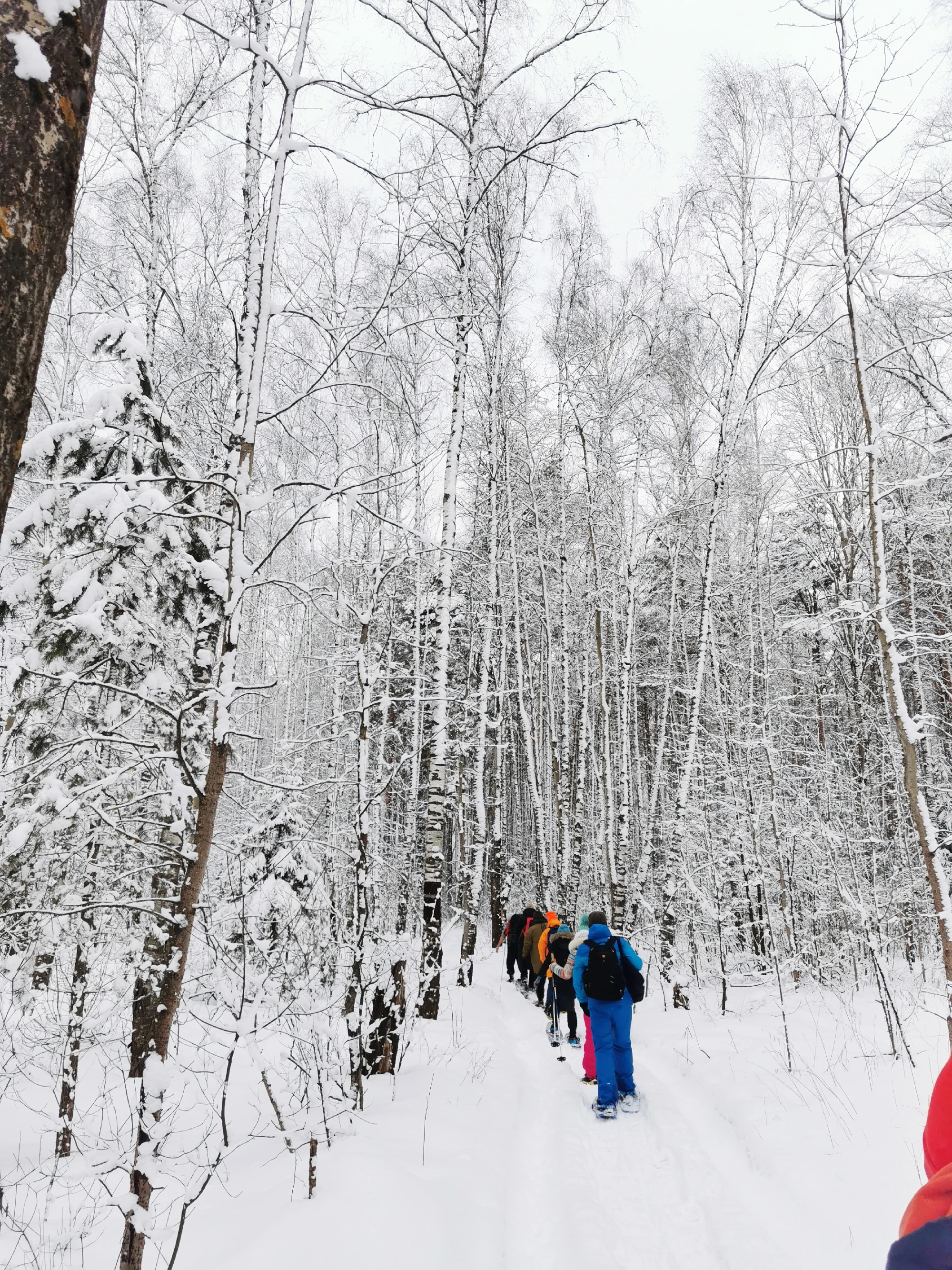 Подмосковная Карелия на снегоступах (13/17)